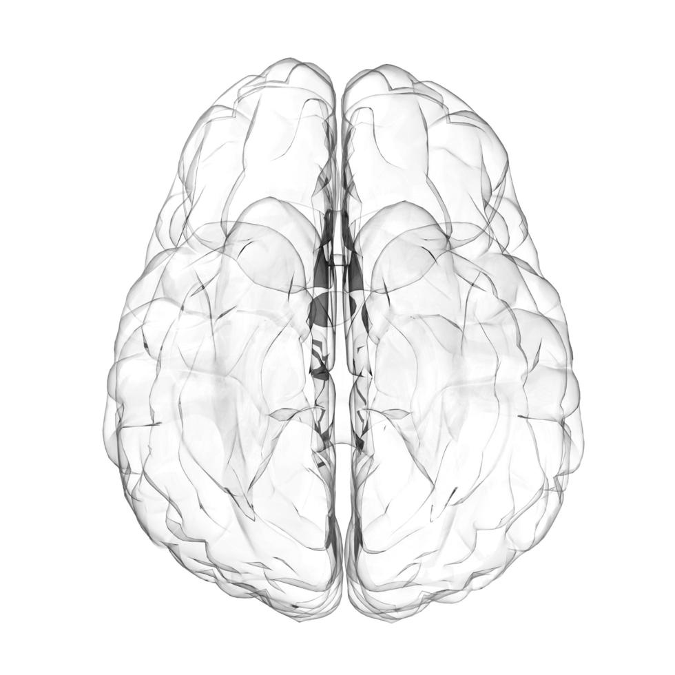 3D mänsklig hjärna glas effekt på vit bakgrund foto