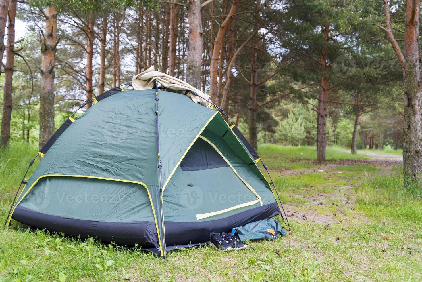 grönt tält på sommaren, tallskog, sneakers nära tältet. foto