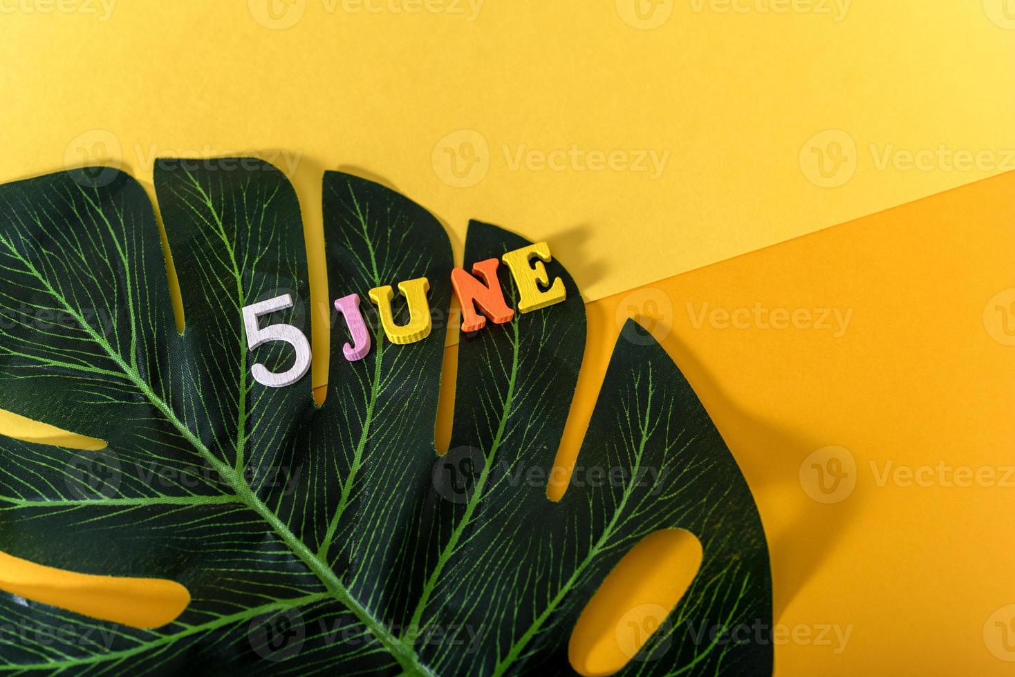 5 juni, världsmiljödagen. monstera blad på en gul bakgrund. foto