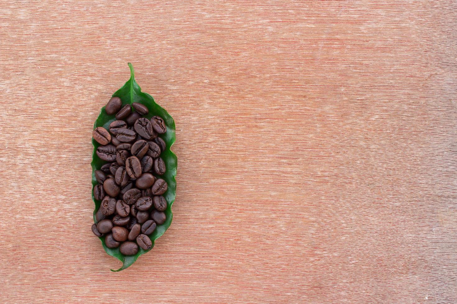 närbild kaffebönor och färska gröna blad foto
