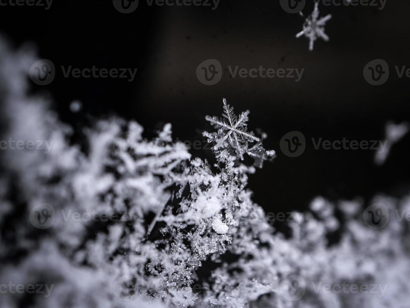 makro skott av snöflingor på svart bakgrund foto