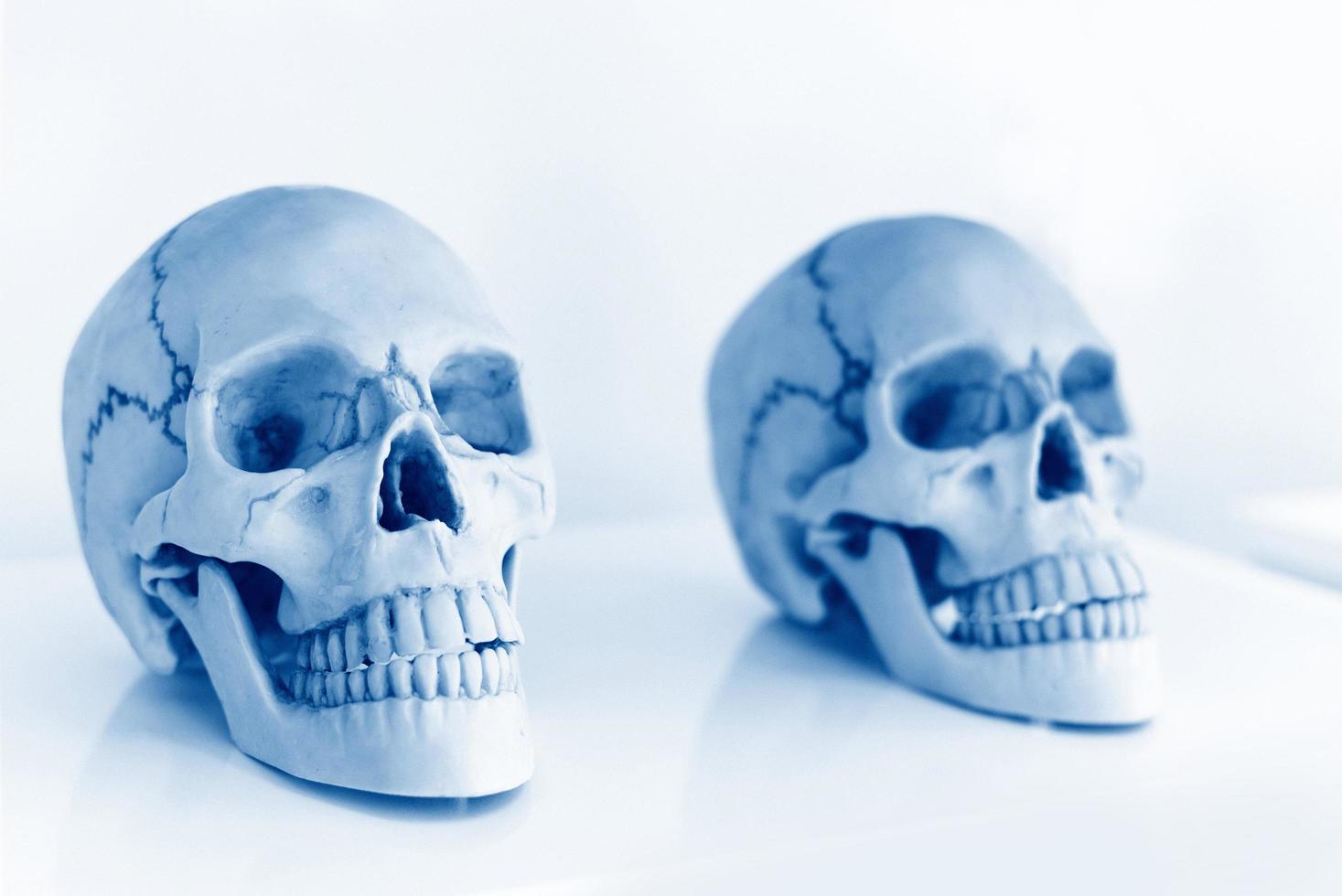 mänsklig skalle för studier i vetenskapsrummet - forskning och experiment av studenter eller läkare skallar är också symboler för dödsskräck och halloween-koncept foto