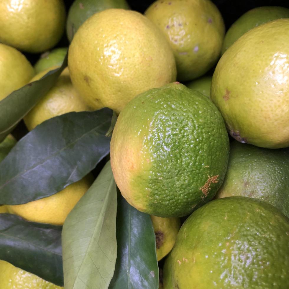 makro foto gröna limefrukter. arkivfoto grön färsk citrusfrukt lime