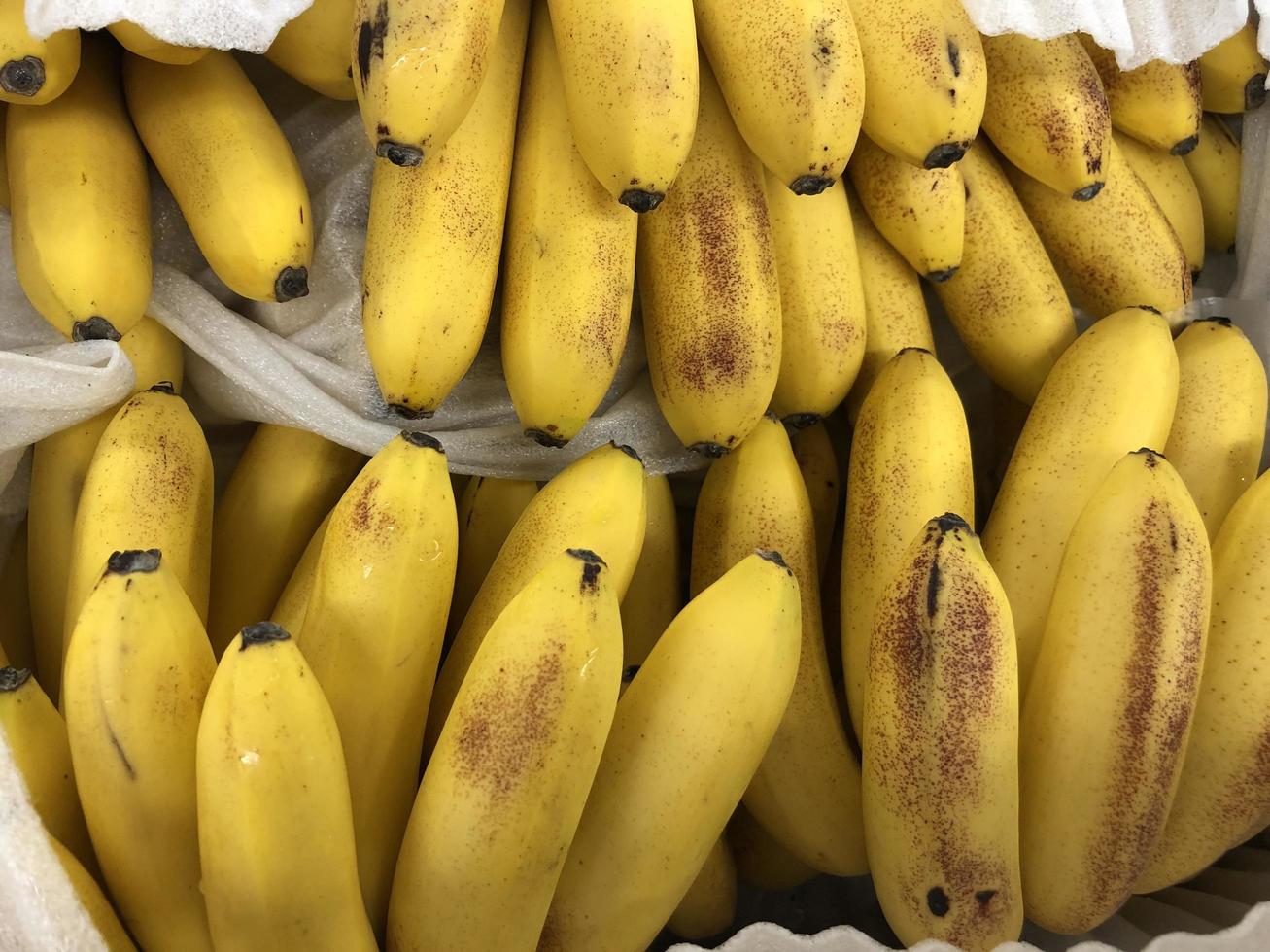 makro foto bananer. arkivfoto gul tropisk frukt banan bakgrund