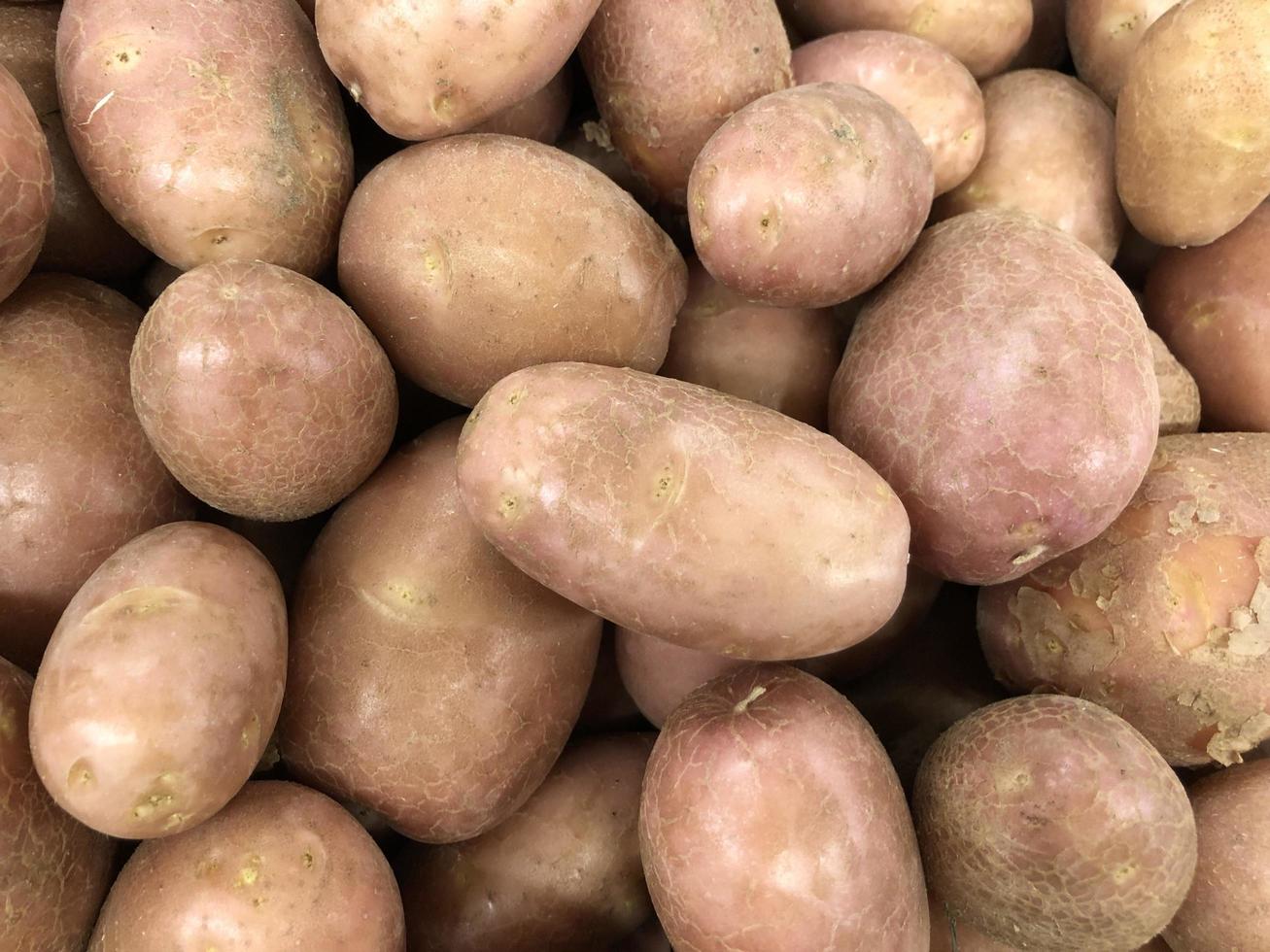 makro foto potatis. arkivfoto rå potatis bakgrund