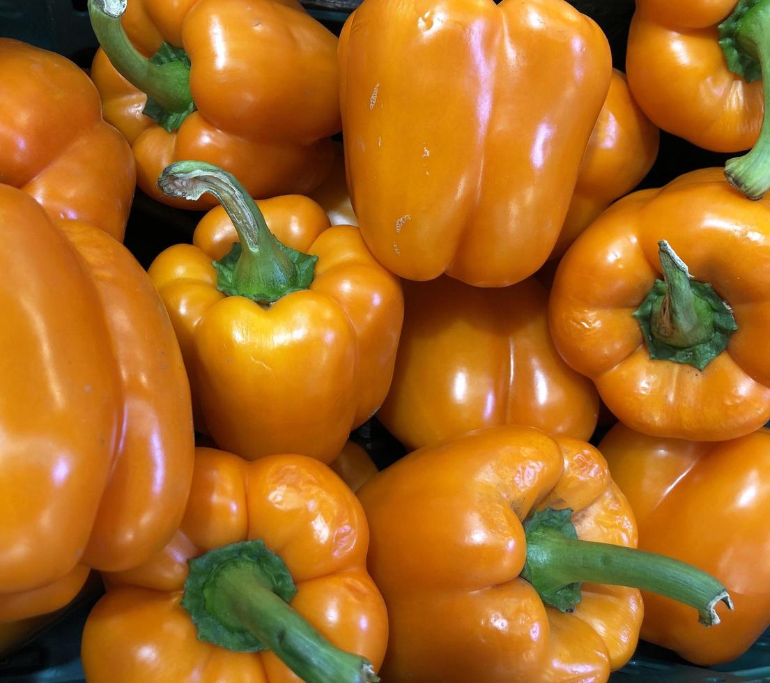 makro foto paprika. arkivfoto paprika grönsak paprika bakgrund