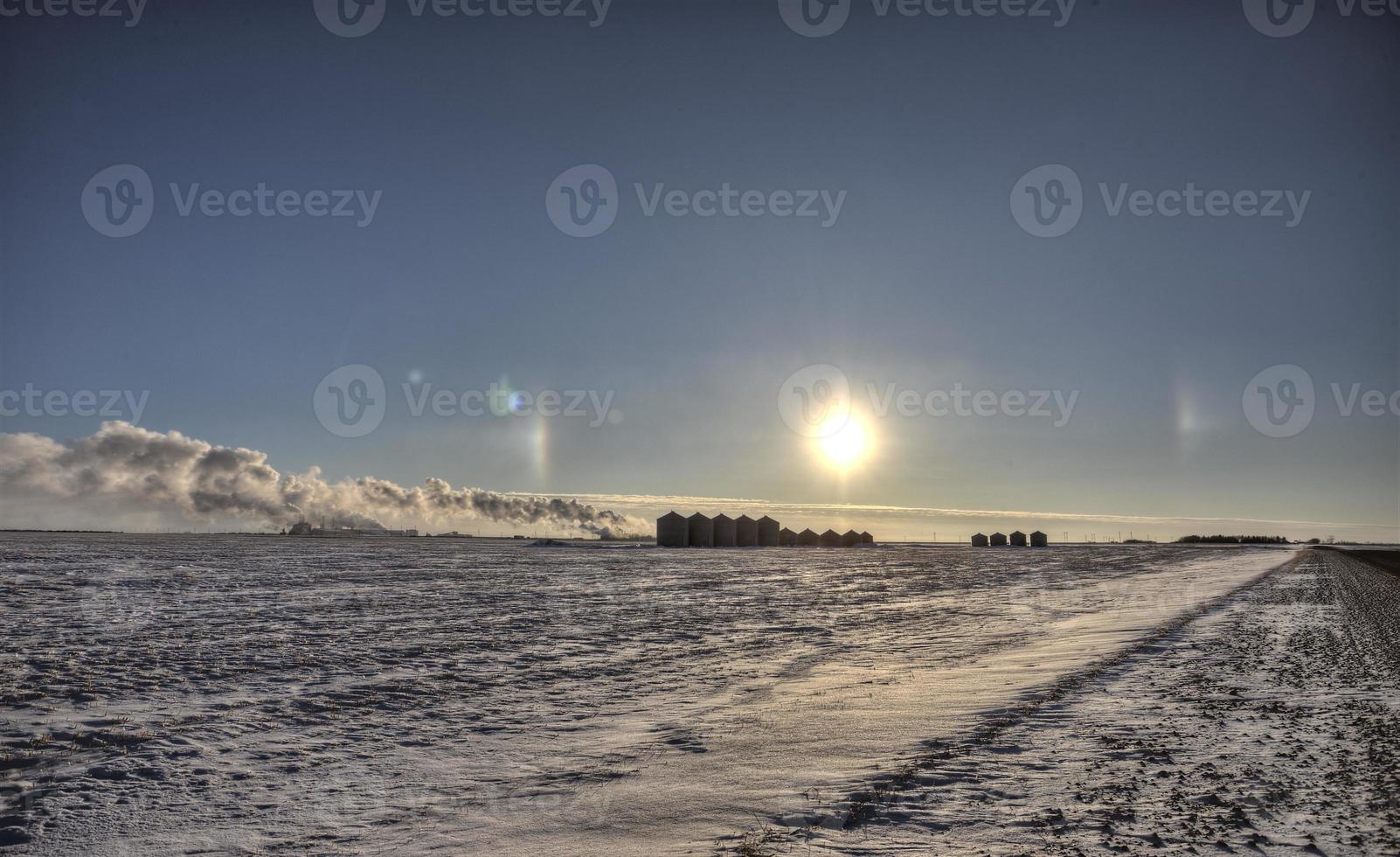 sundoggar på vintern foto