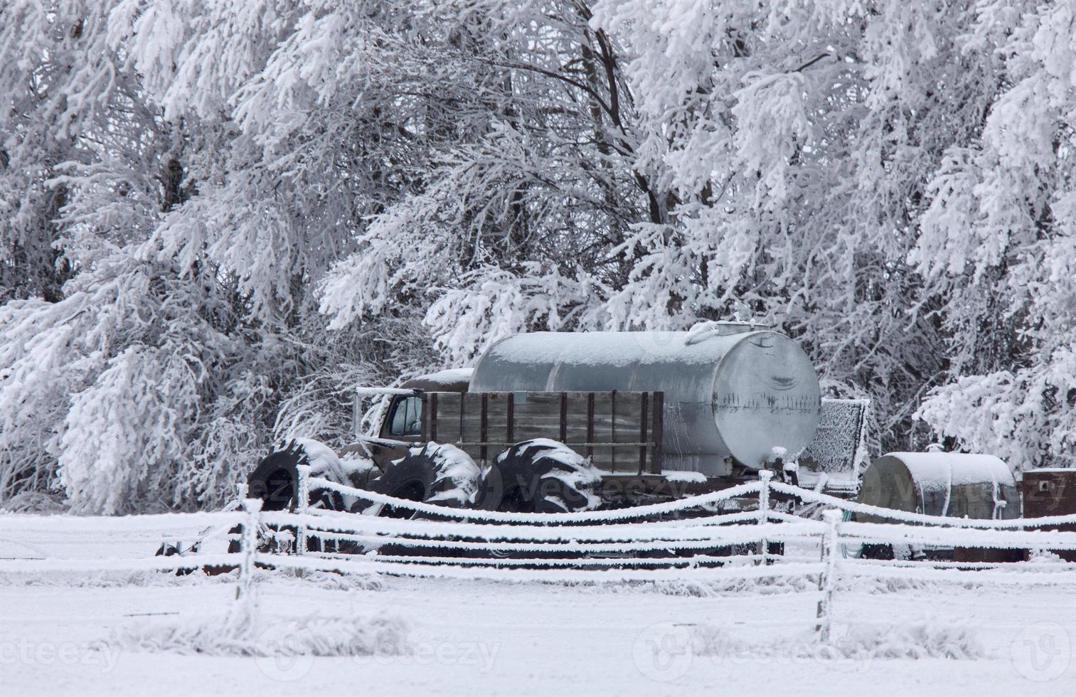 vinterfrost saskatchewan foto