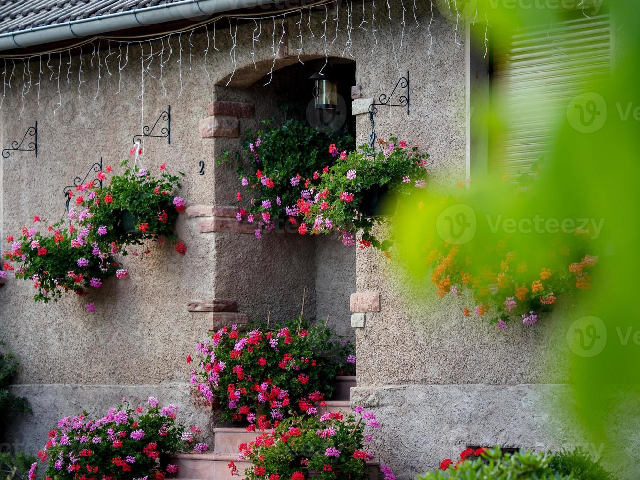 blommande by i alsace. solbelysta gator fulla av blommor. foto