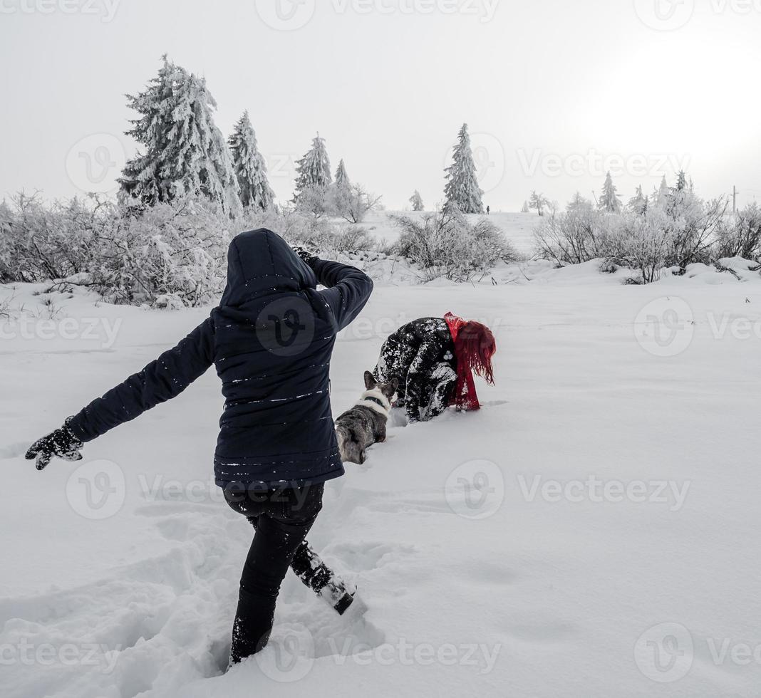 två flickor, systrar, leker med en corgihund på ett snöigt fält i bergen foto