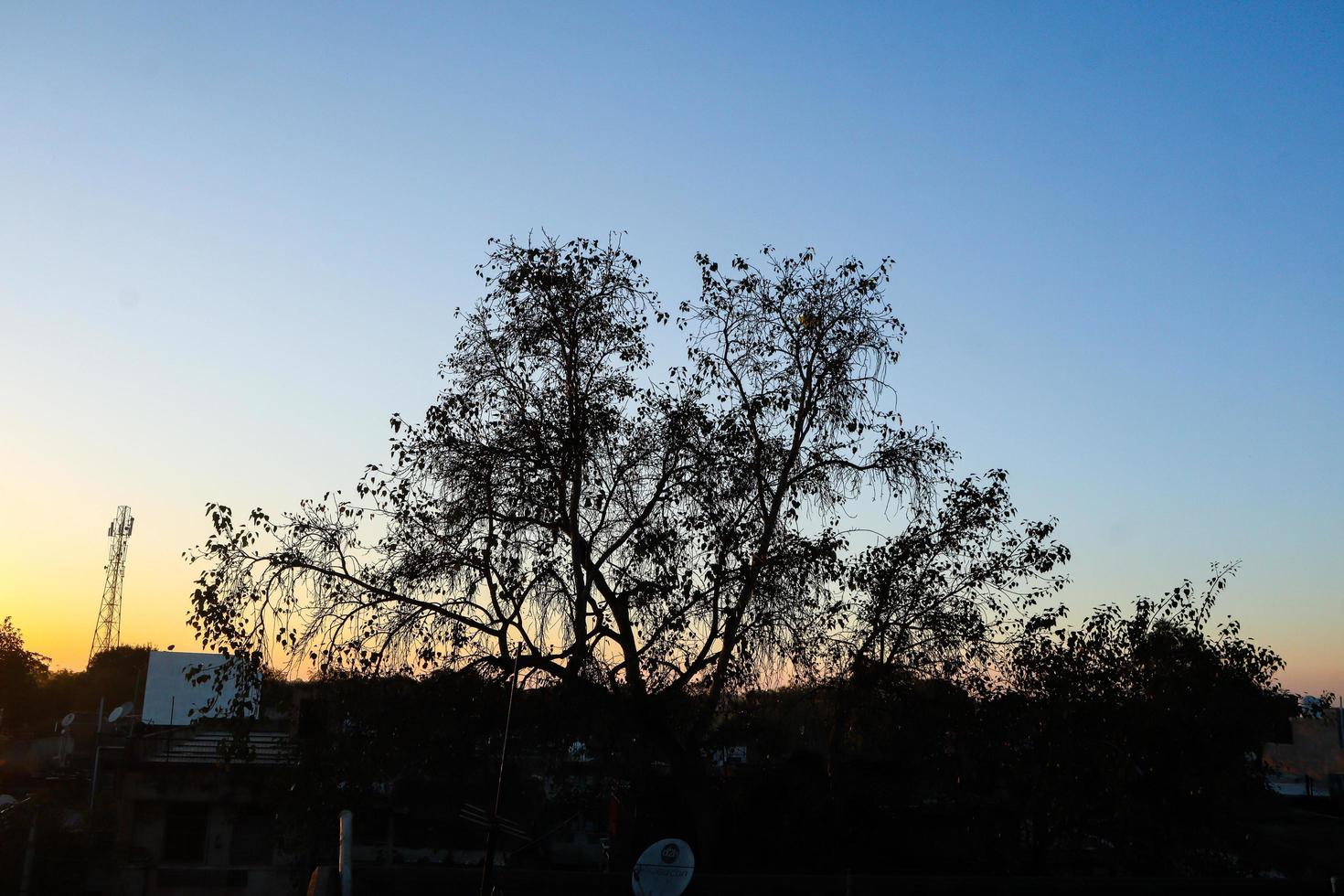 vacker soluppgång eller solnedgång lyser upp molnen mjukt foto