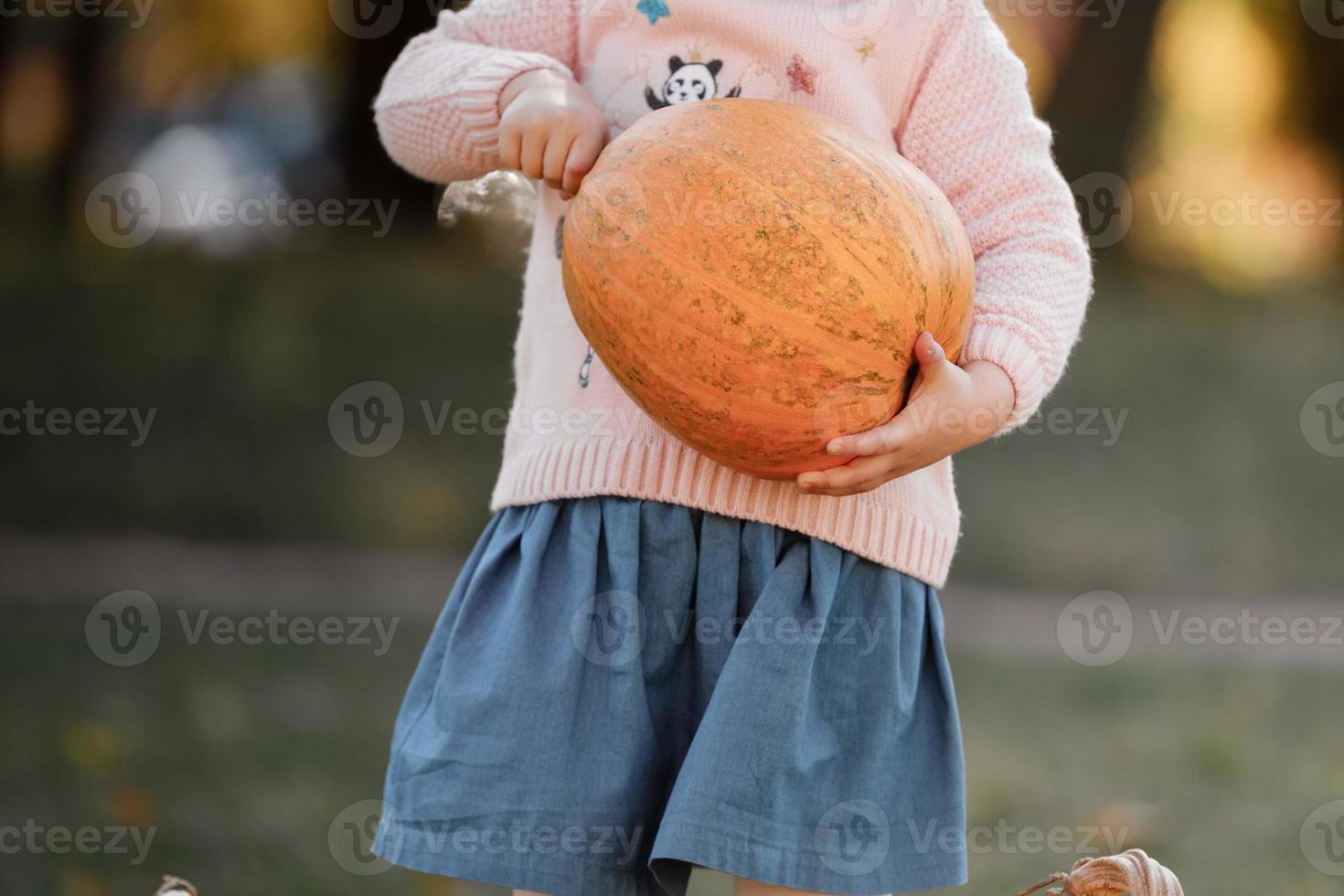 liten flicka håller en stor pumpa i händerna på höstdagen. Halloween-fest. beskuret foto. foto