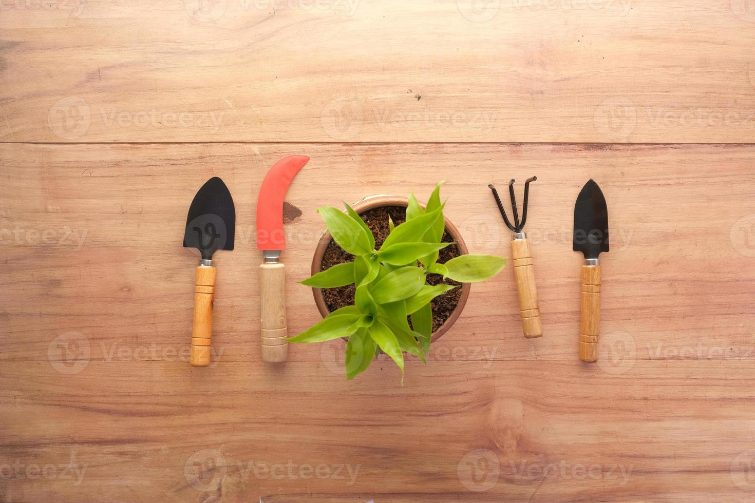 trädgårdsredskap och växt på ett bord med kopia utrymme foto