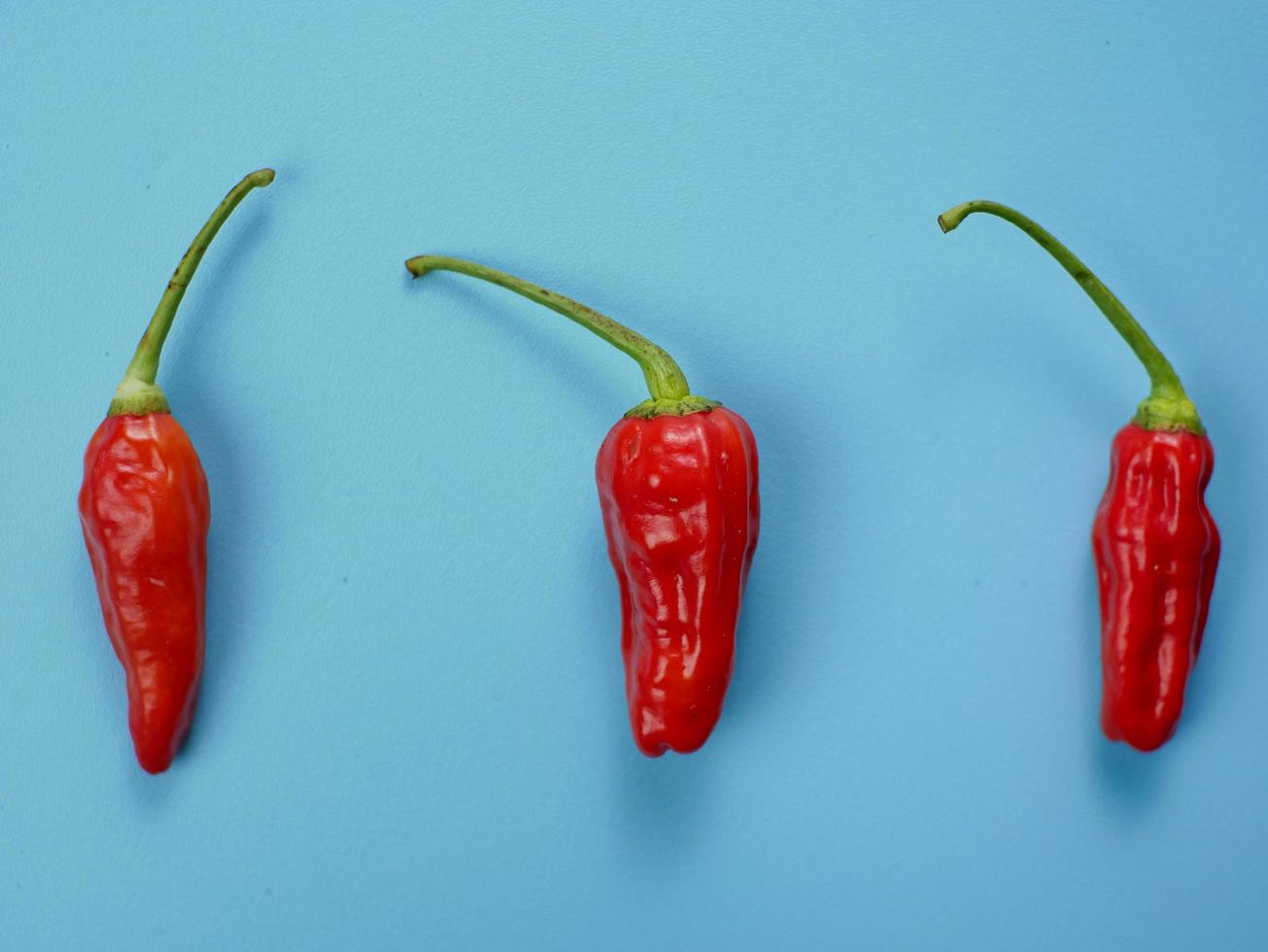 ovanifrån av röd chili med blå bakgrund. lämplig för smaksättning och matlagningskoncept foto