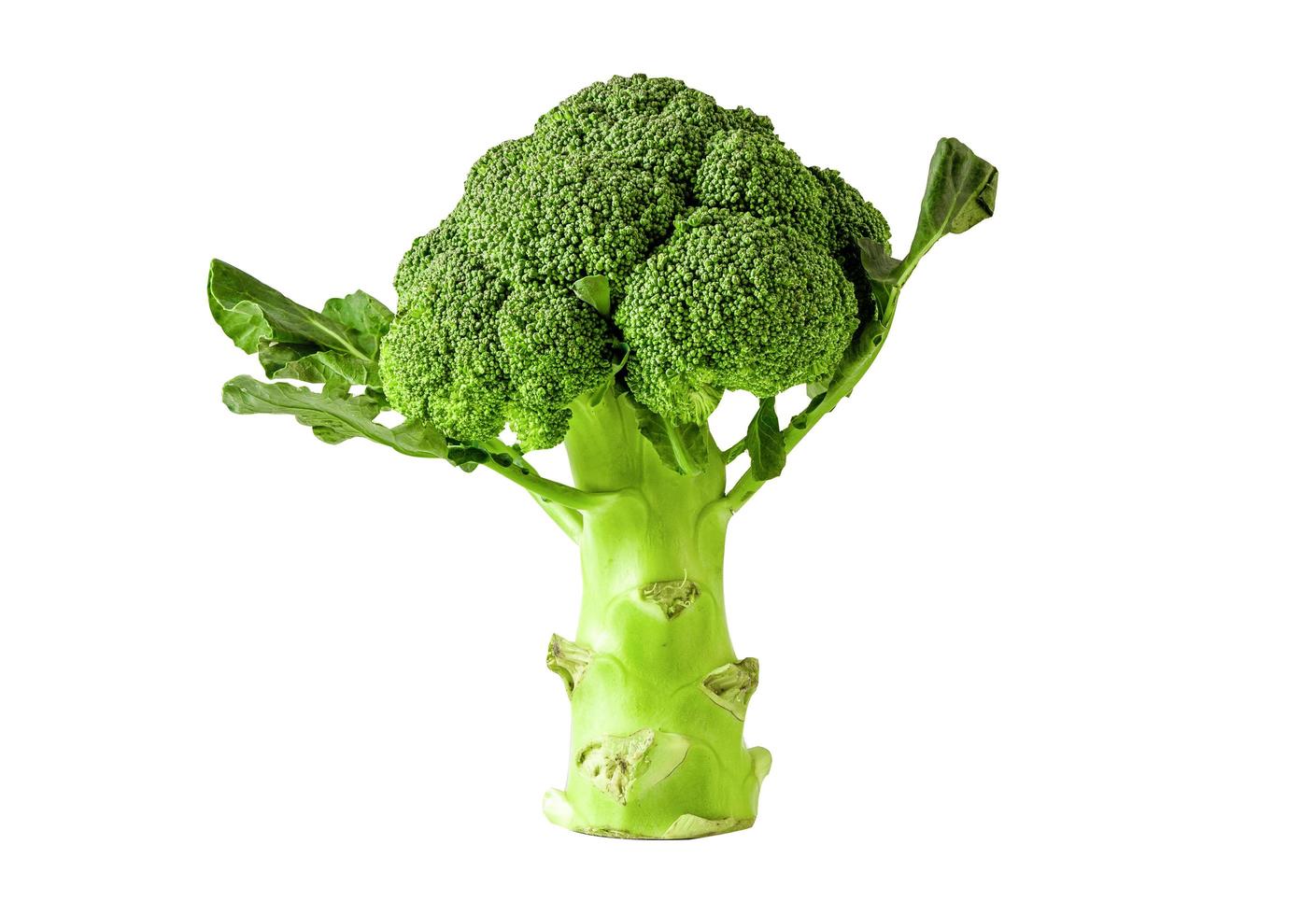 broccoli grönsak isolerad på vit bakgrund med urklippsbana. foto