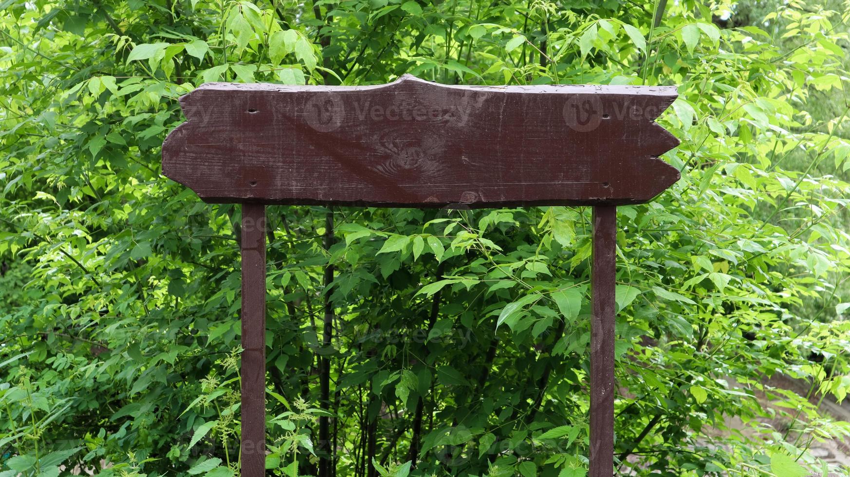 brun träskylt på en bakgrund av gröna löv, buskar och träd i en park eller skog. plats för din text eller logotyp, annons. kopieringsutrymme. tomt, tomt tecken. foto