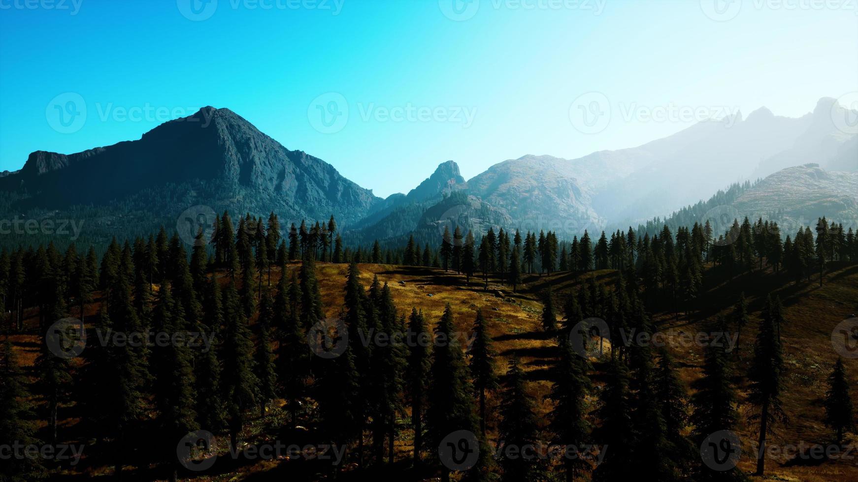 landskapsvy över bergskedjan med träd på hösten foto