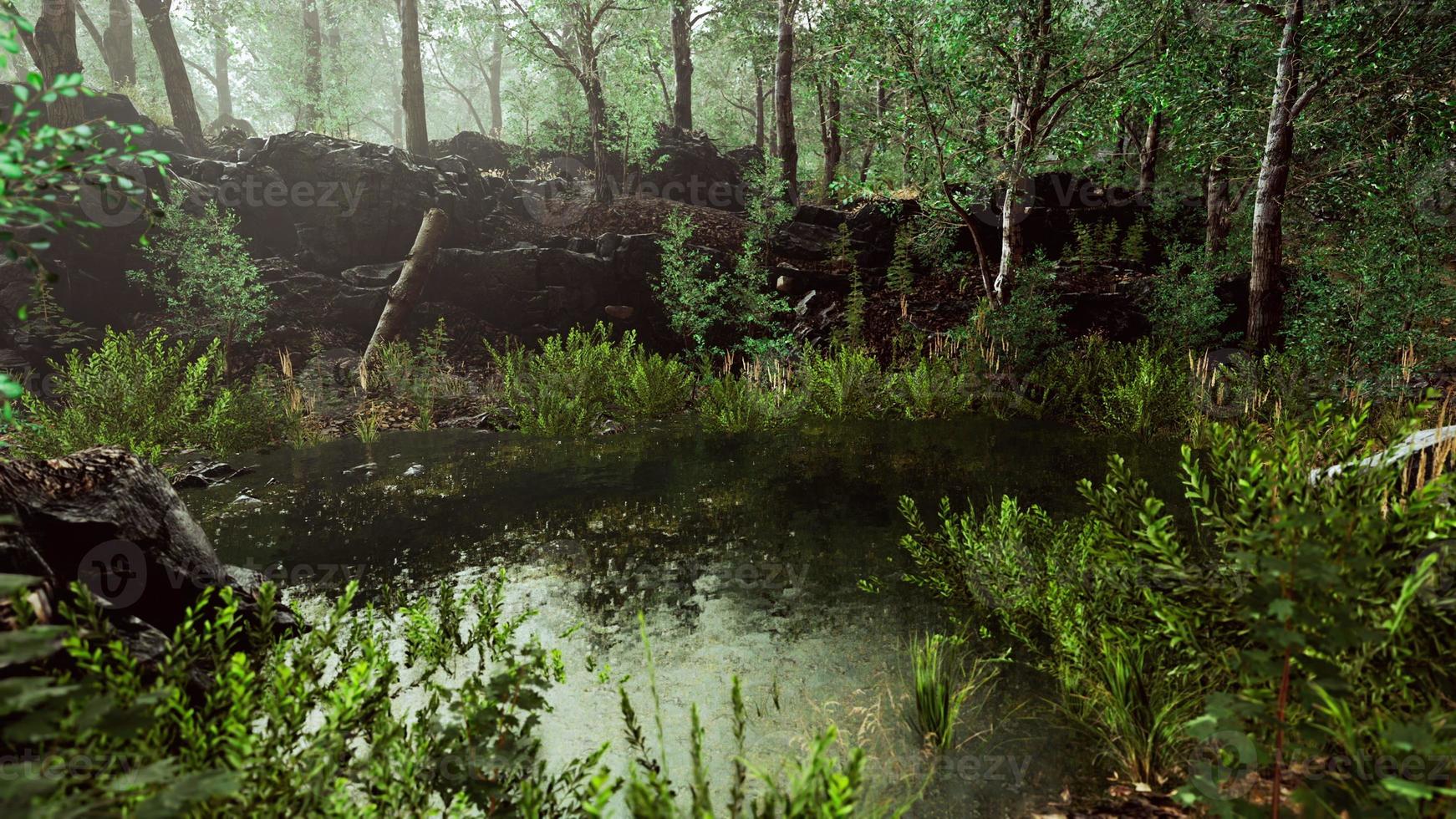 skogsvårlandskap med bevuxen damm foto