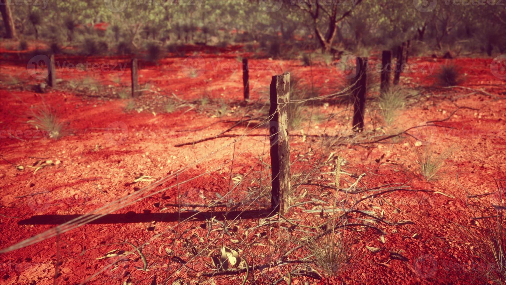 orange scrubby sands tråd staket och små träd foto