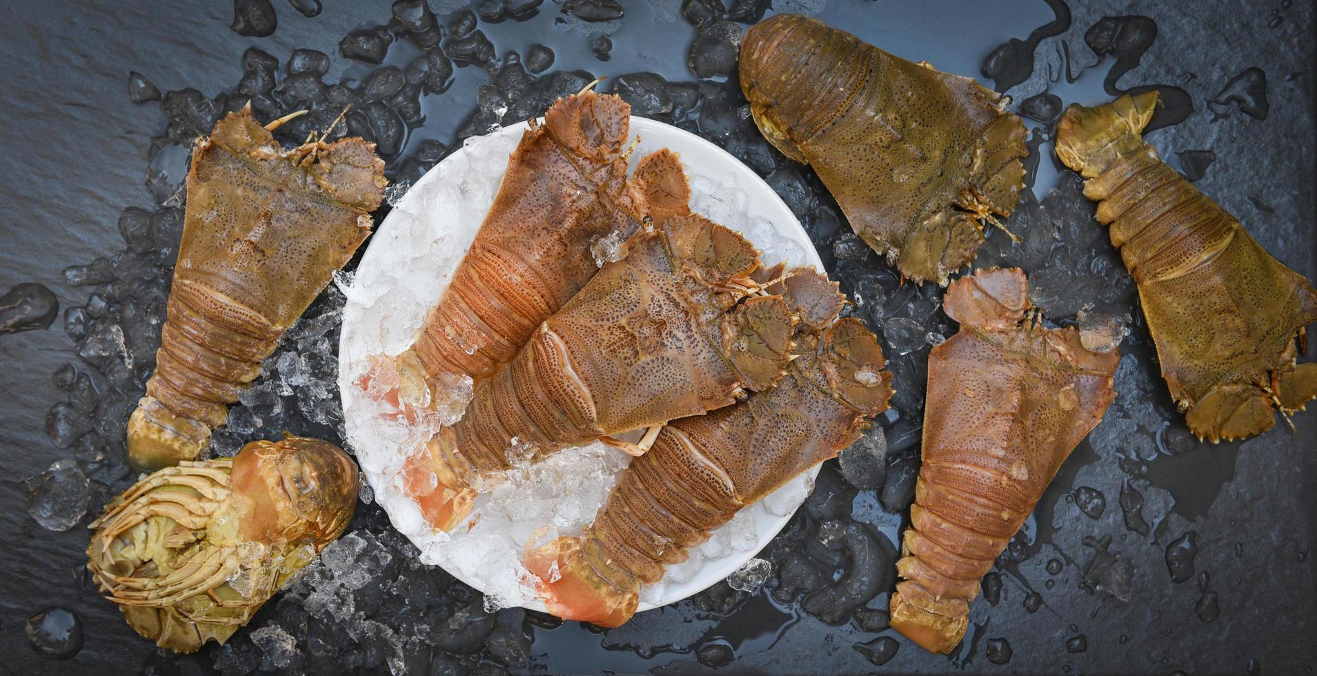 råa flathead hummerräkor på is, färsk toffel hummer flathead för matlagning på mörk bakgrund i skaldjursrestaurangen eller skaldjursmarknaden, rock hummer moreton bay bug foto