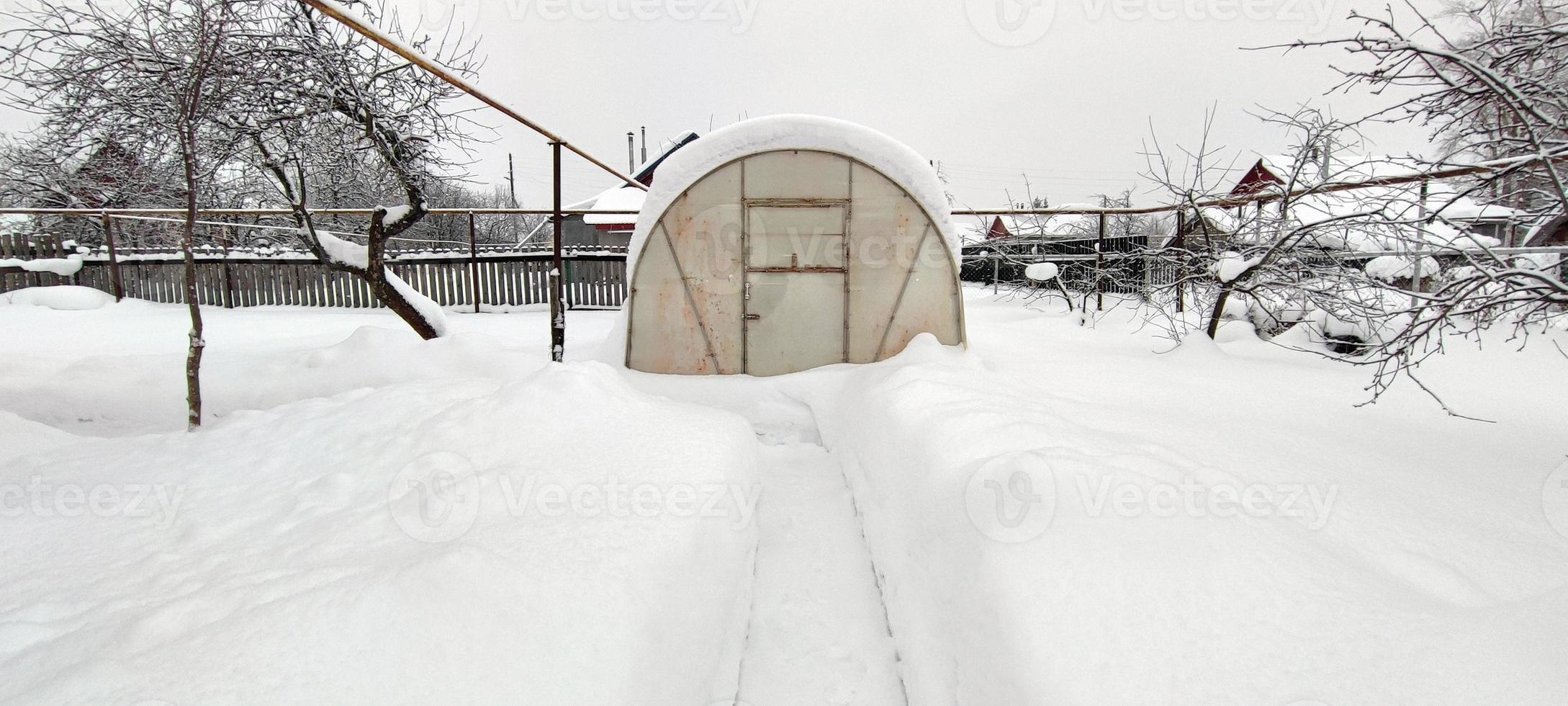 växthus i en snödriva. vägen till växthuset på vintern. foto