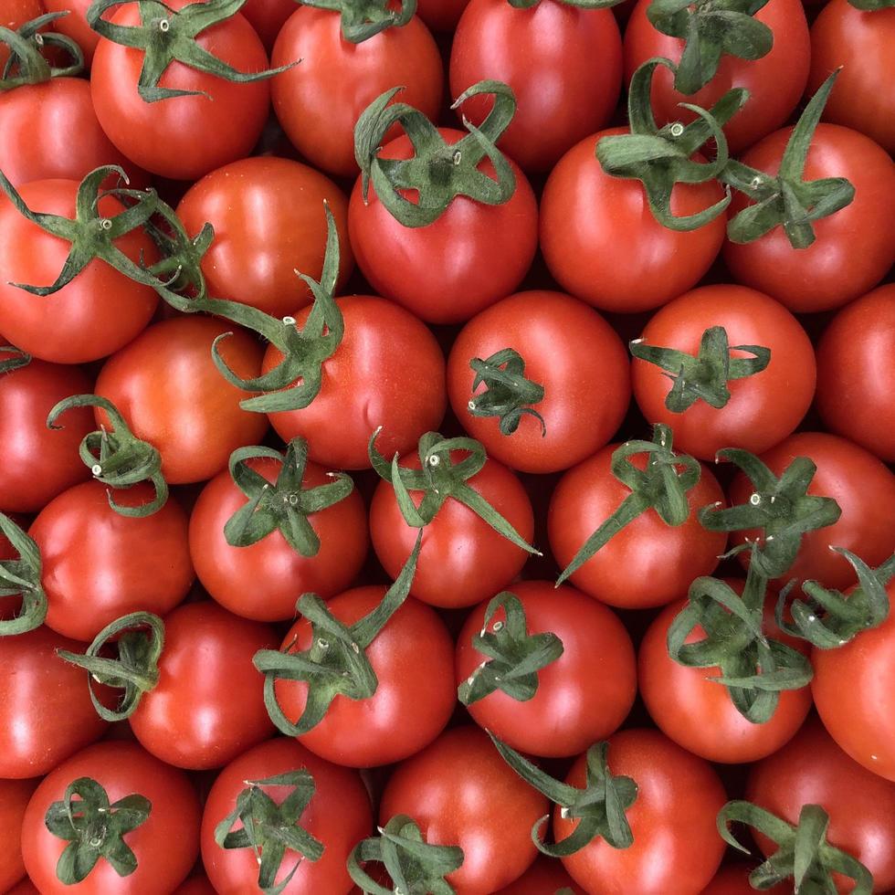 makrofoto röda körsbärstomater. arkivfoto grönsak röd tomat bakgrund foto