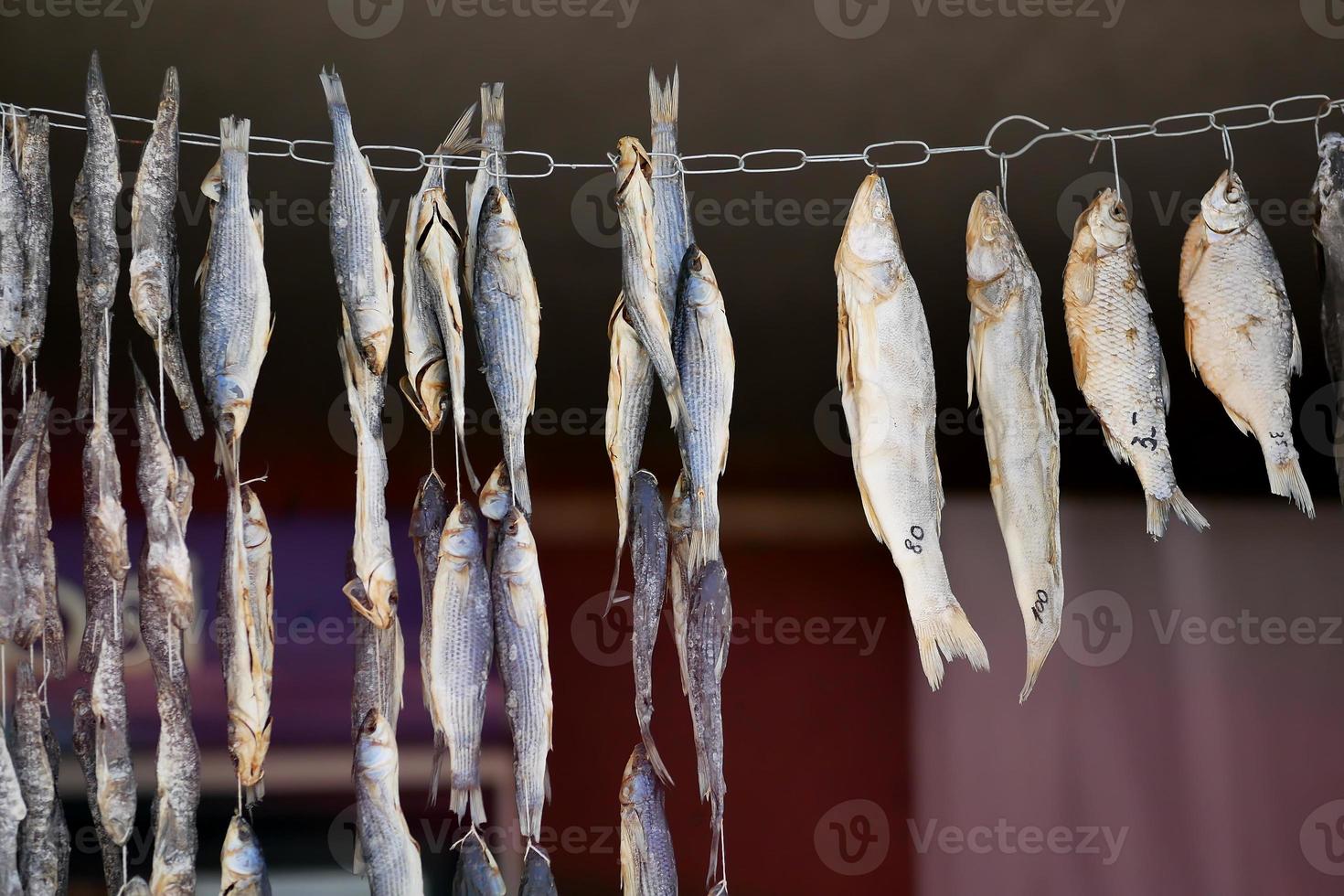 torkning av små, saltade fiskar på ett snöre foto