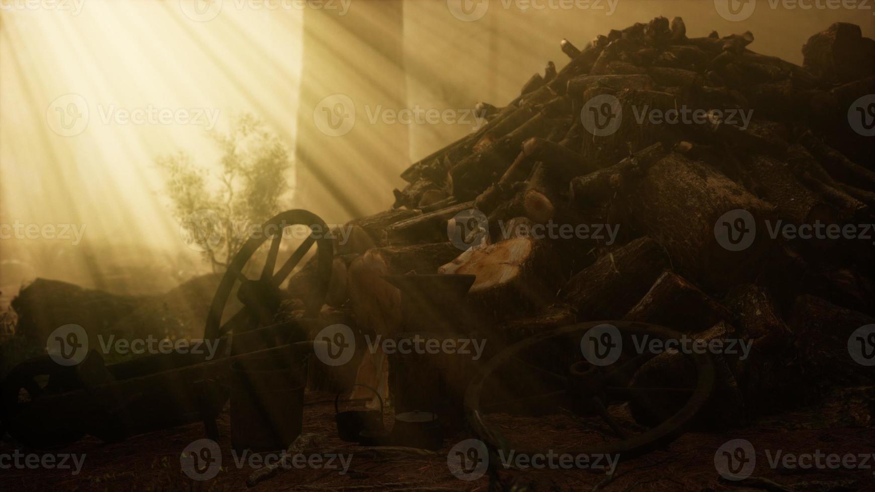 förberedelse av ved för vintern i skogen vid solnedgången foto