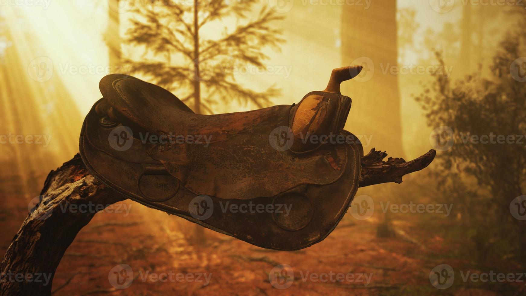 vintage läder hästsadel på det döda trädet i skogen vid solnedgången foto