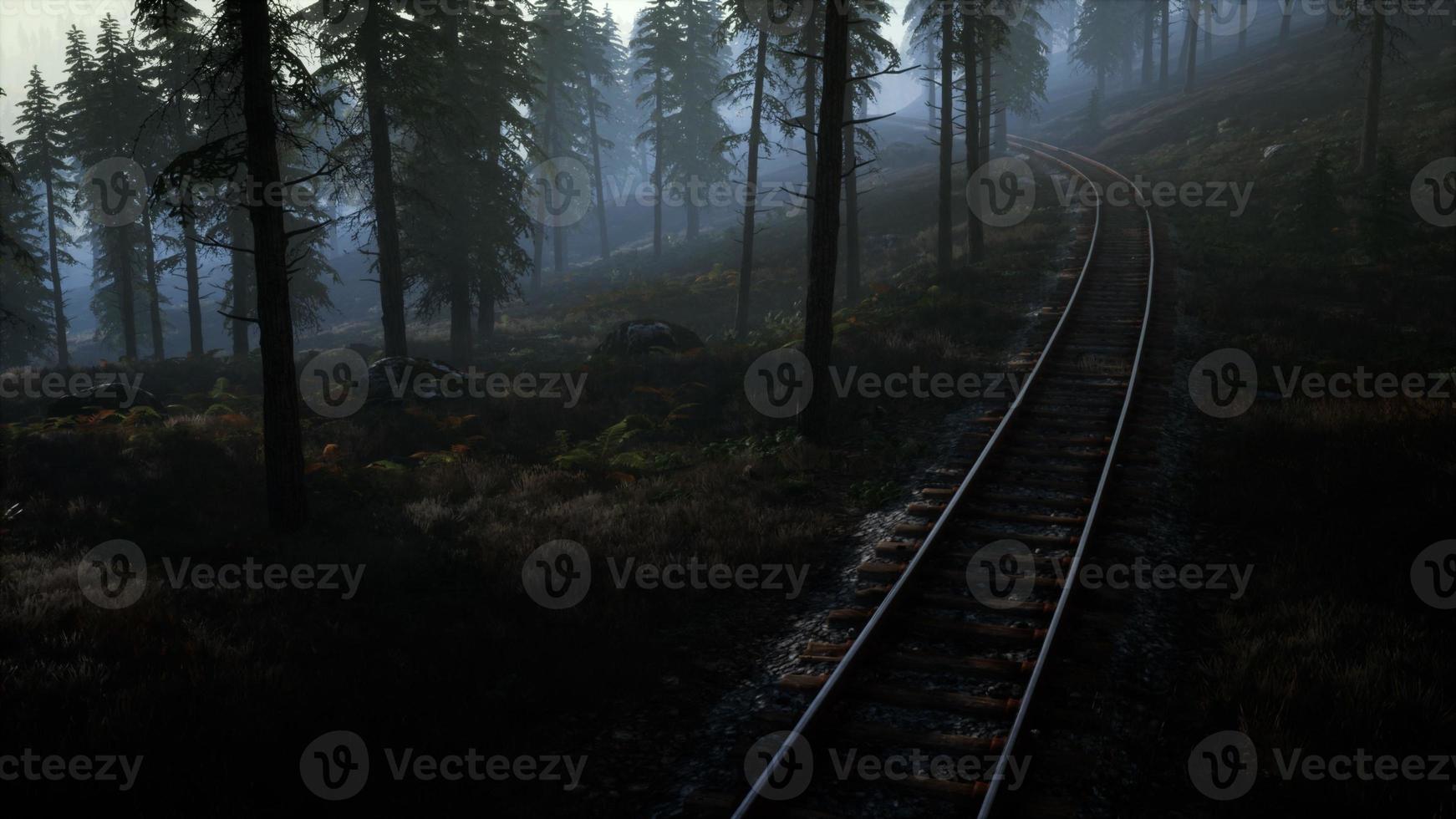 nationalskogens rekreationsområde och dimman med järnväg foto
