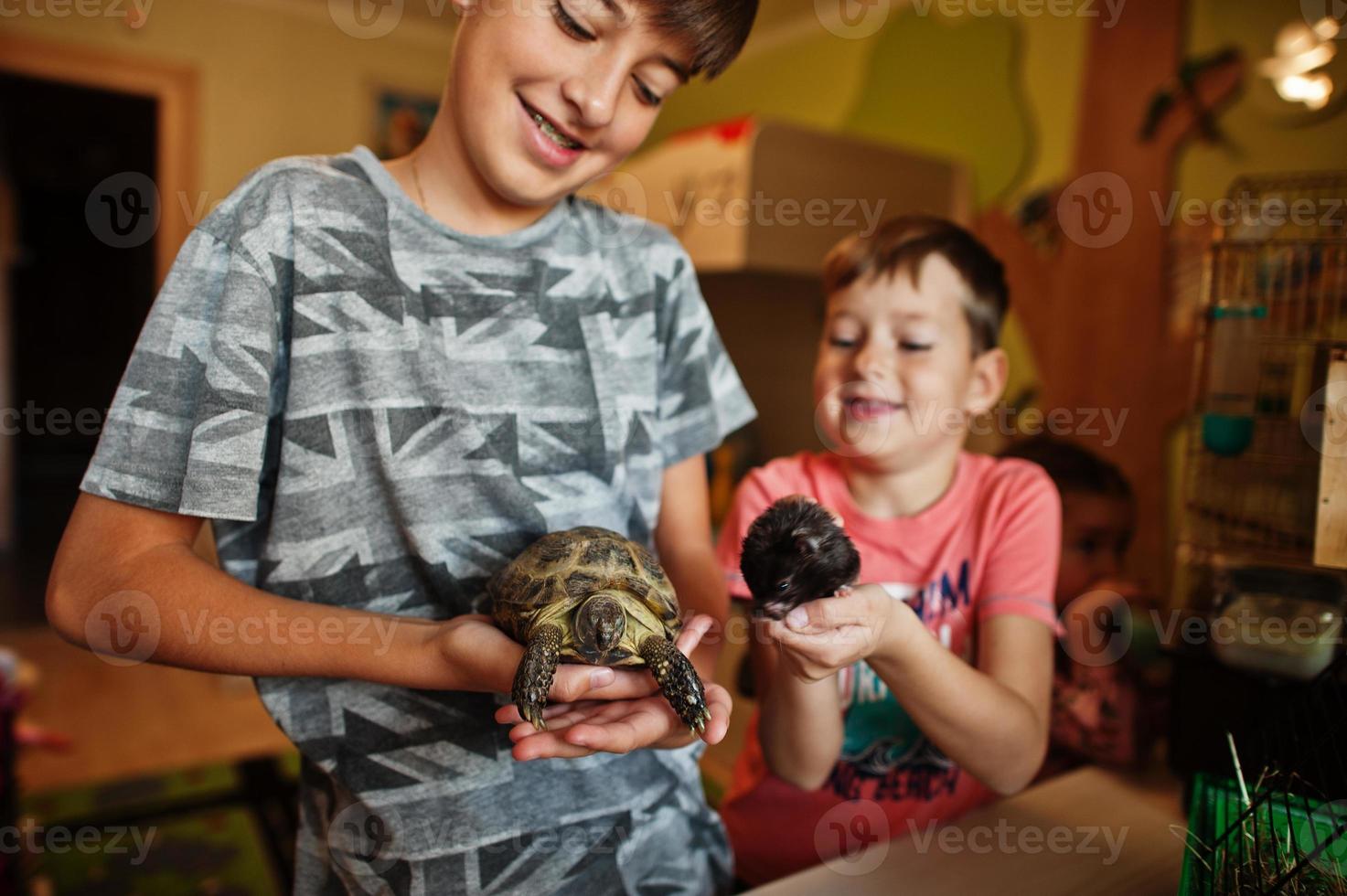 barn som håller sina favorithusdjur i händerna. barn som leker med hamster, sköldpadda och papegojor hemma. foto