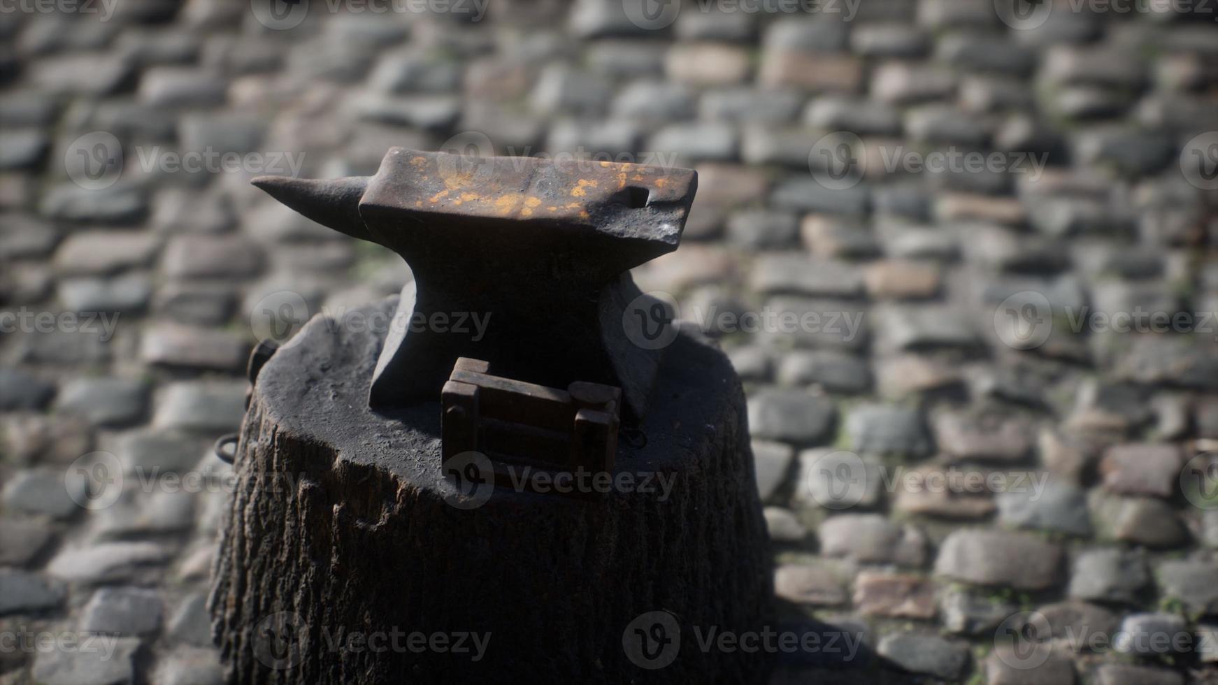 gammalt städ fäst vid en stubbe foto