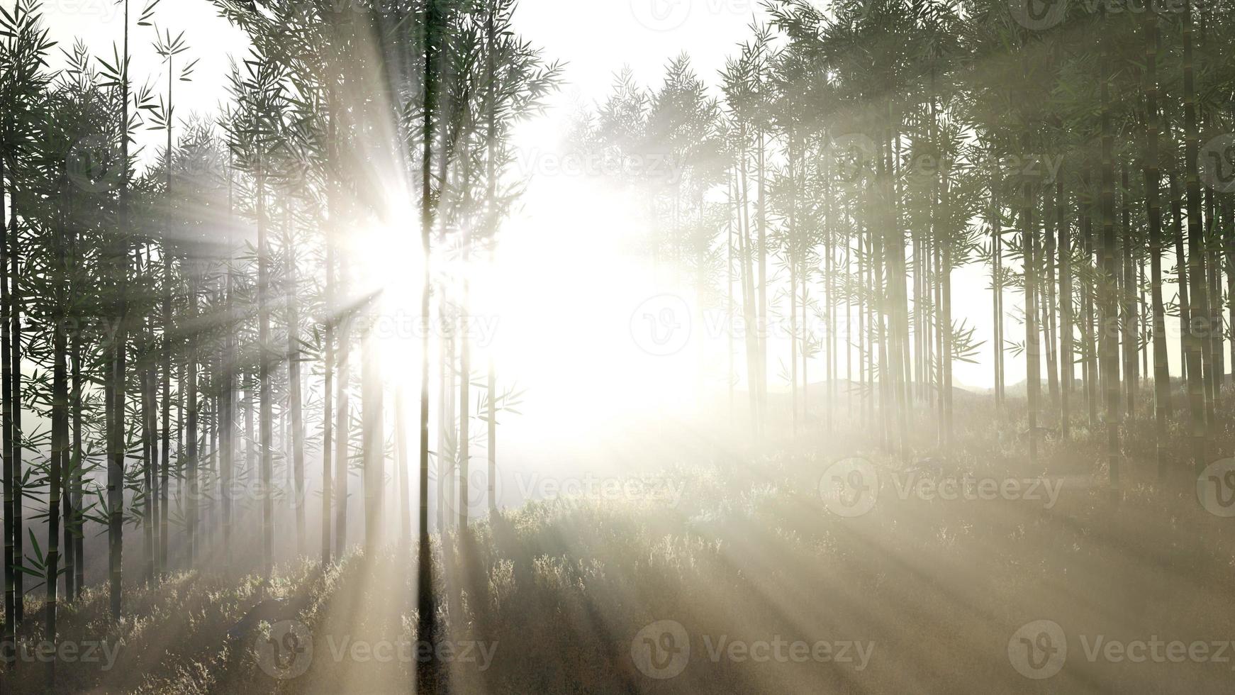 grön bambuskog i kullar foto