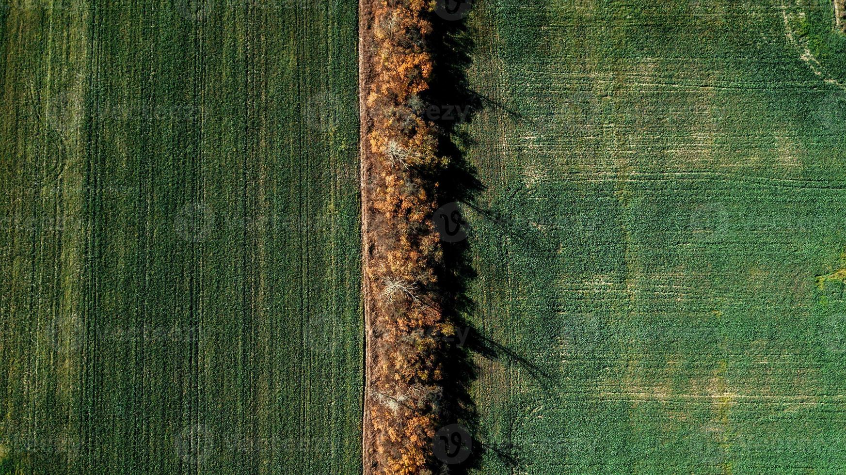 jordbruksfält från ovan foto