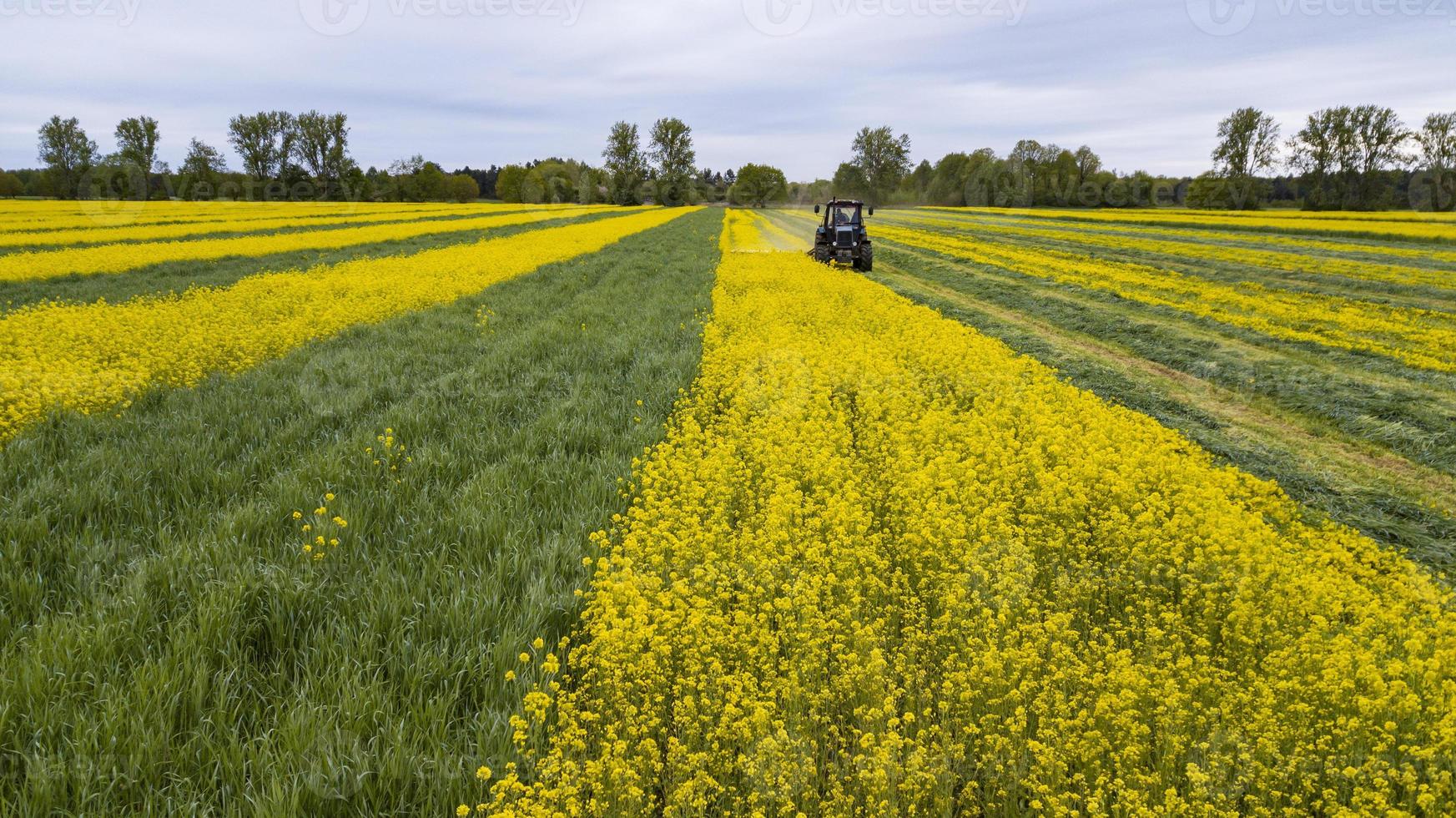 traktor på fältet, jordbruk på våren foto