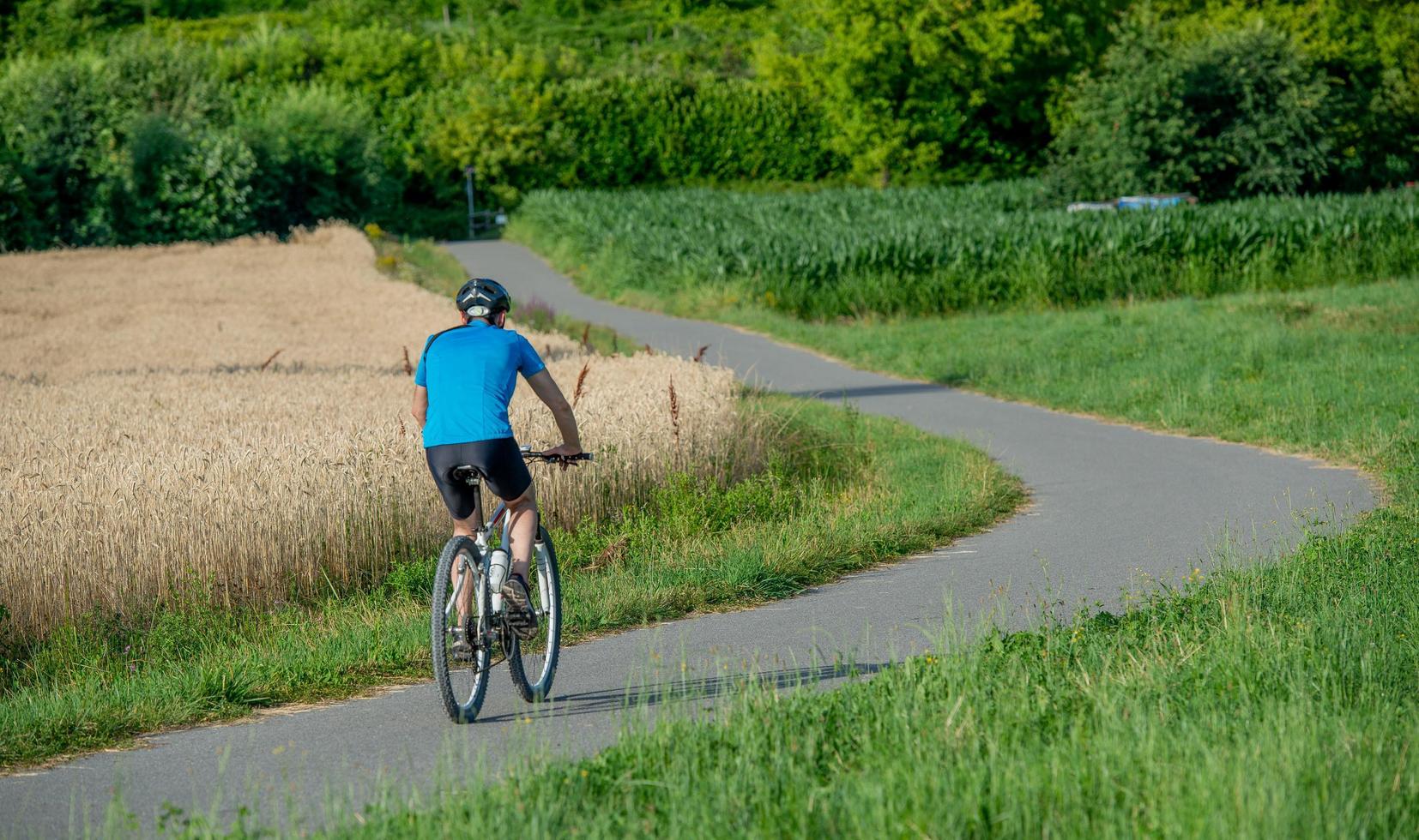 cykelväg mitt i naturen foto