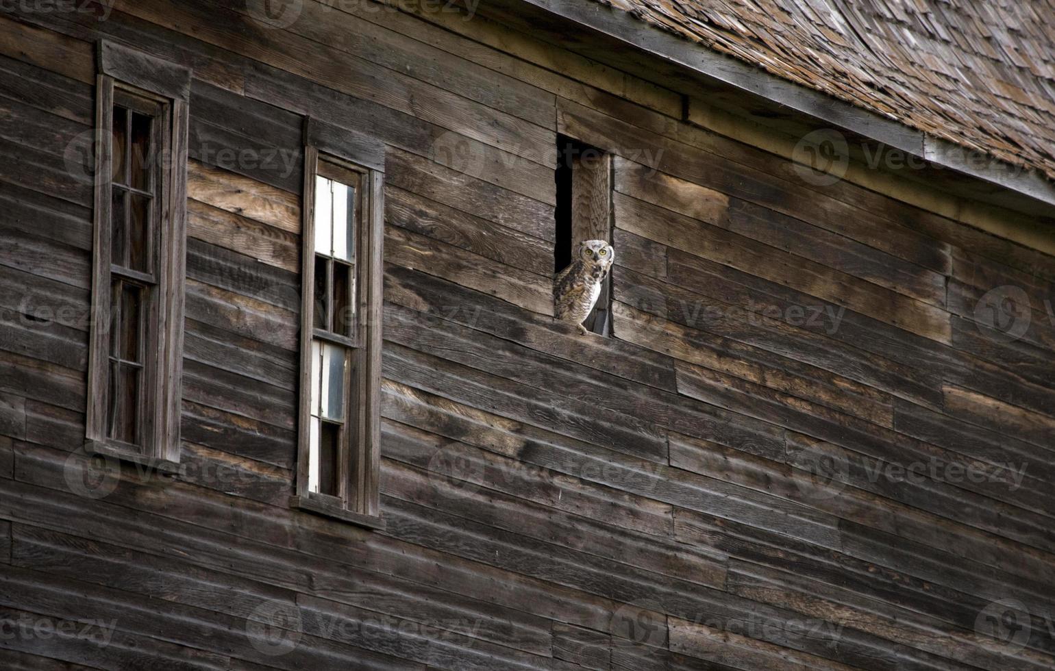 prairie barn saskatchewan foto