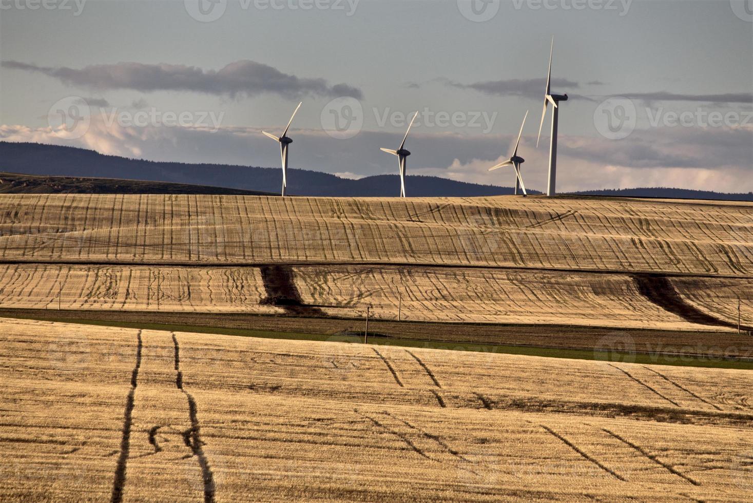 vindkraftspark Kanada foto