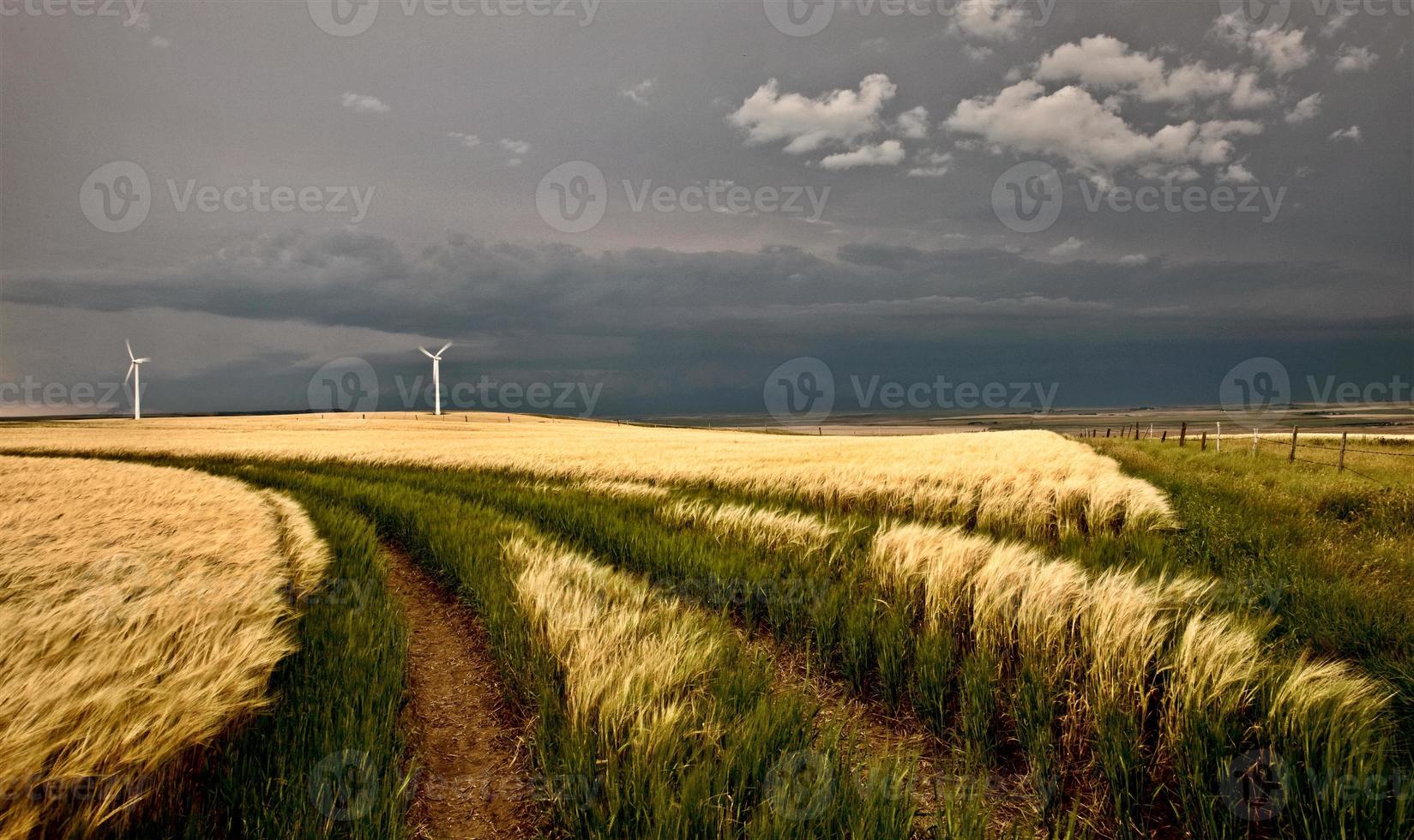 vindkraftsstorm foto