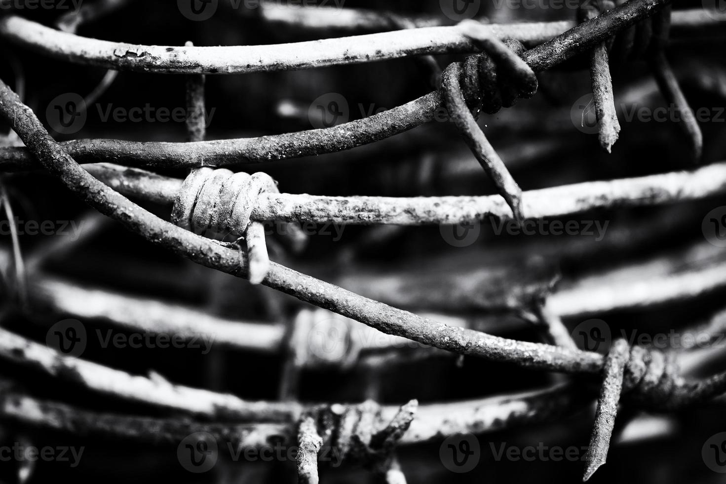 rostig taggtråd upprullad på stolpen. svartvitt foto