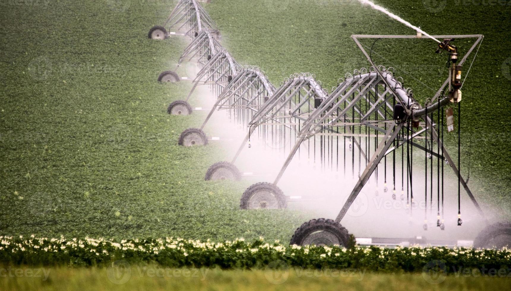 ärtskörd och rörlig sprinkler foto