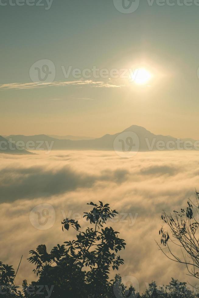 hav av dimma täcker området på toppen av kullen doi phu thok, chiang khan, loei, thailand med bakgrund av soluppgången på vintern. foto