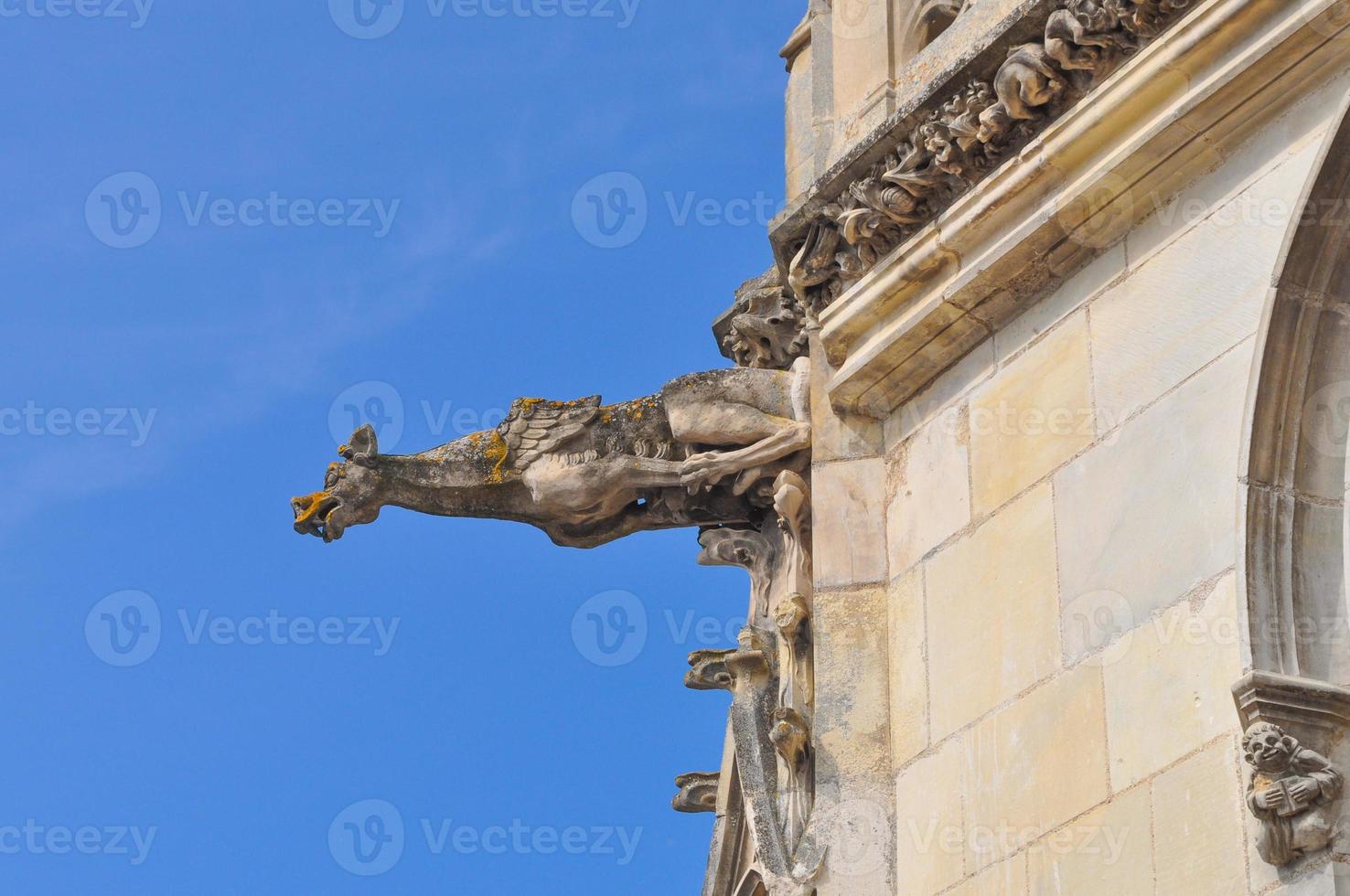 slottet amboise slott foto