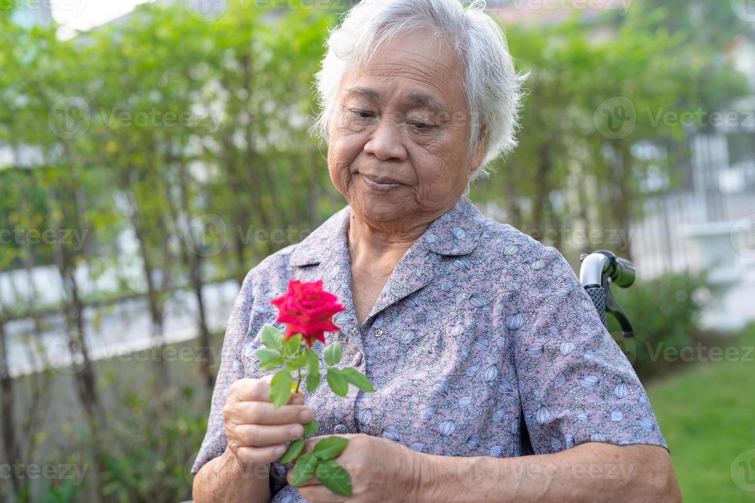 asiatisk senior eller äldre gammal dam kvinna med röd ros på rullstol i parken. foto