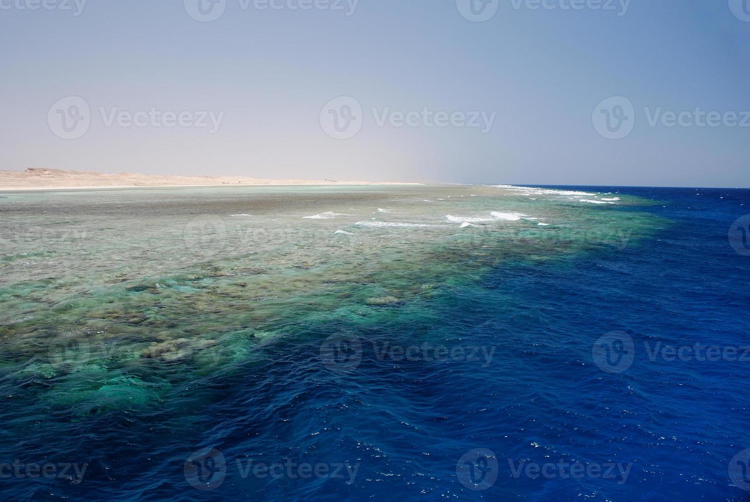 enorma korallrev foto