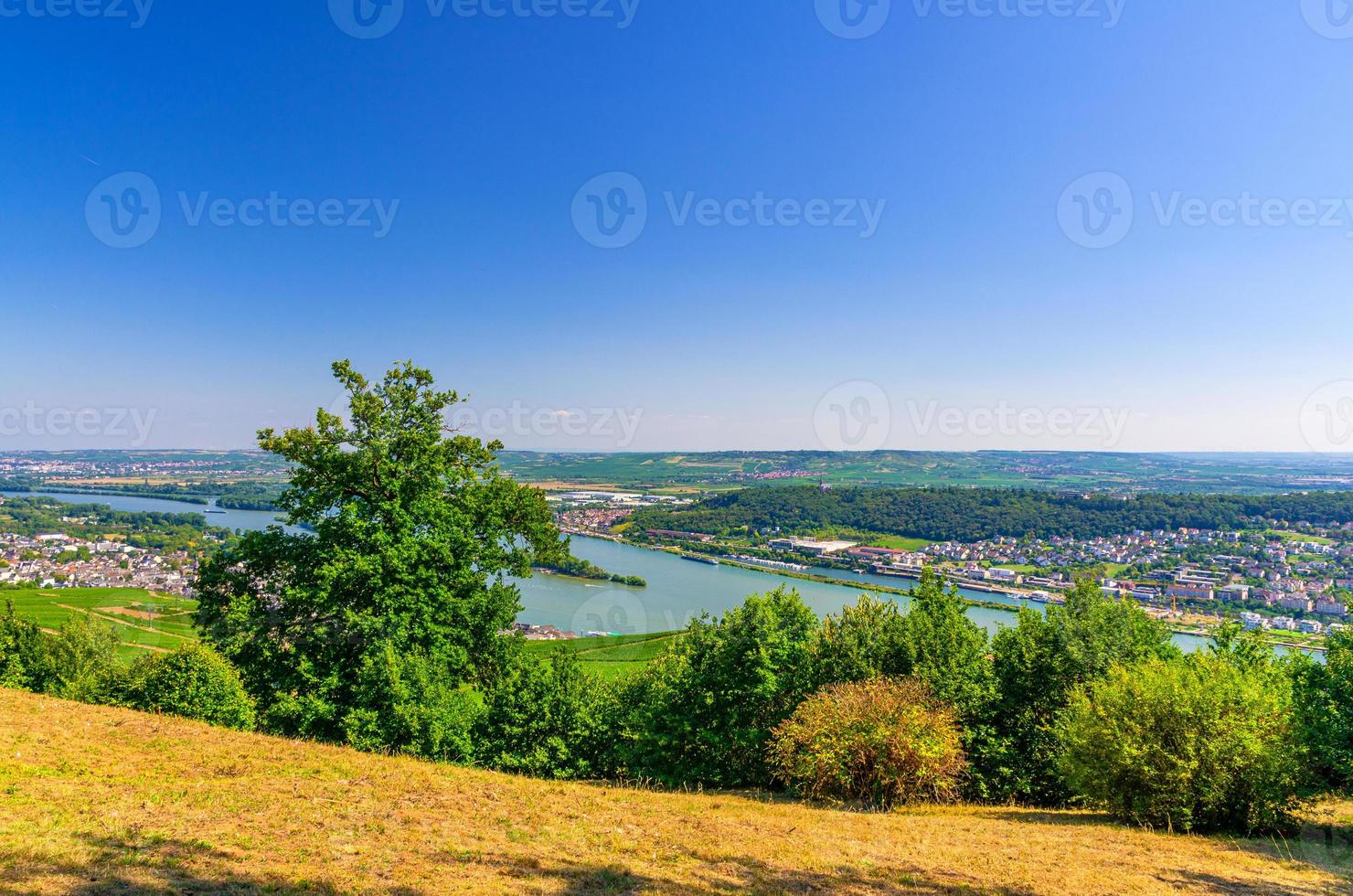 panoramautsikt från luften över floden Rhen-ravinen eller övre mellersta rhendalens vinframställningsregion foto