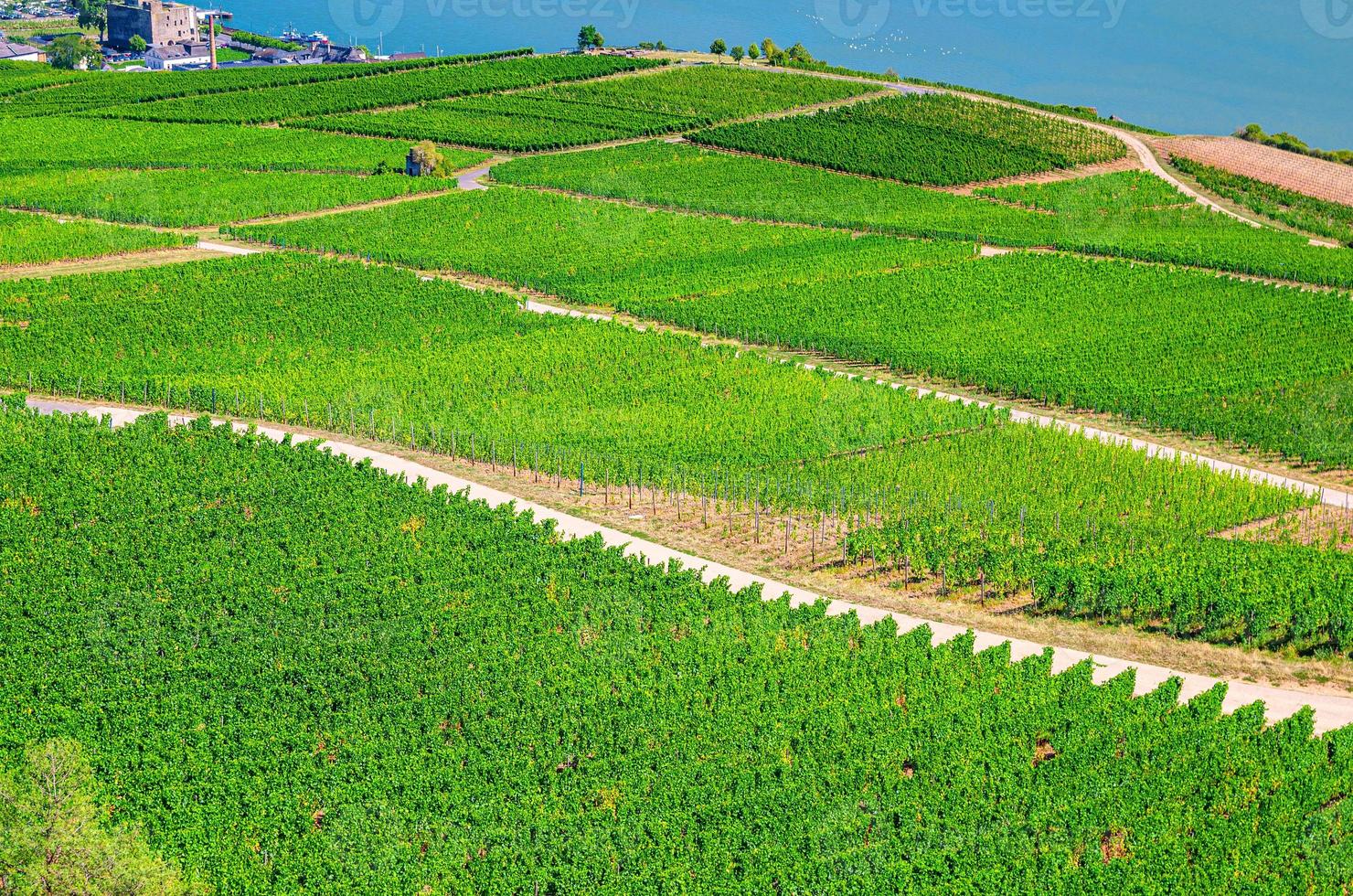 panoramautsikt från luften över floden Rhen-ravinen eller övre mellersta rhendalens vinframställningsregion foto