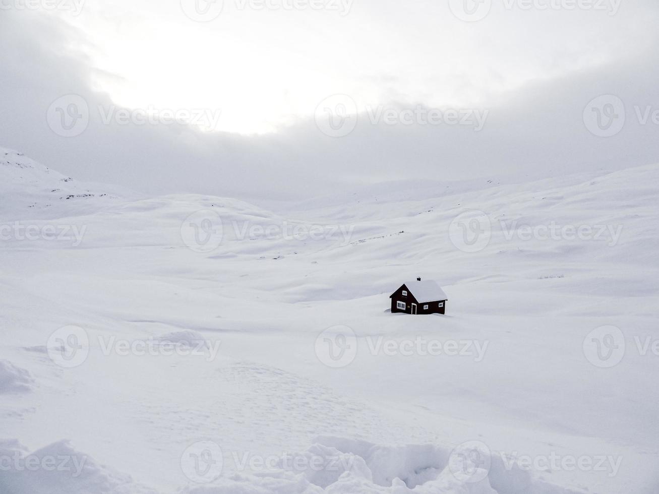 snötäckt ensamt hus stuga, vitt vinterlandskap, norge. foto