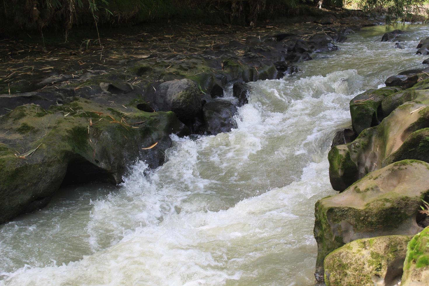 floder flyter och stenar foto