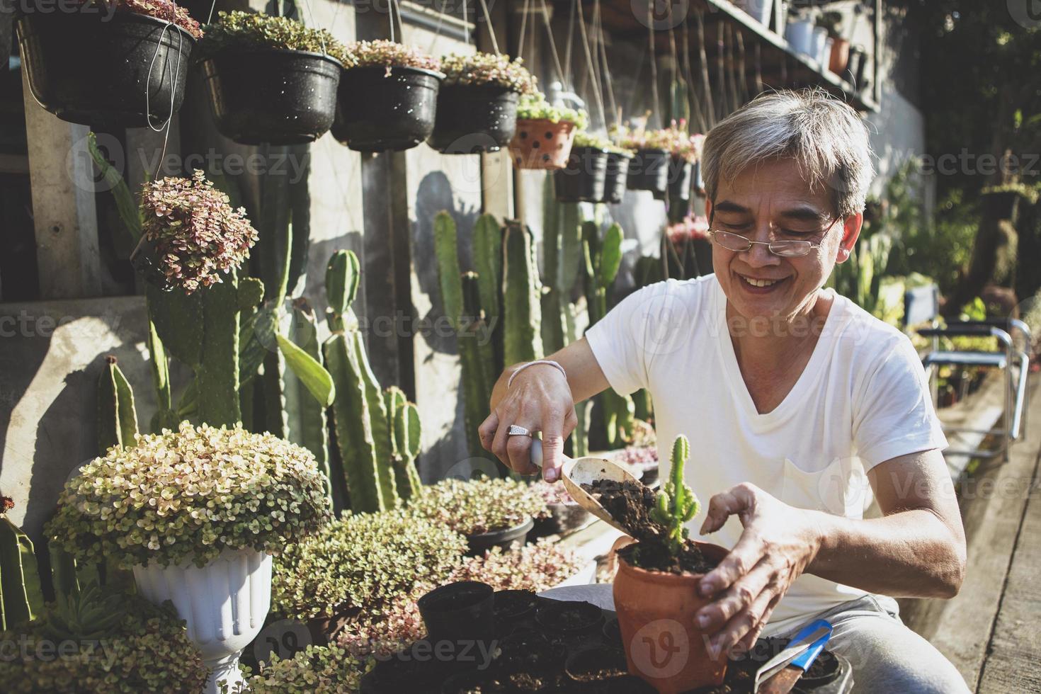 asiatisk senior man repot kaktus valp hemma trädgård foto